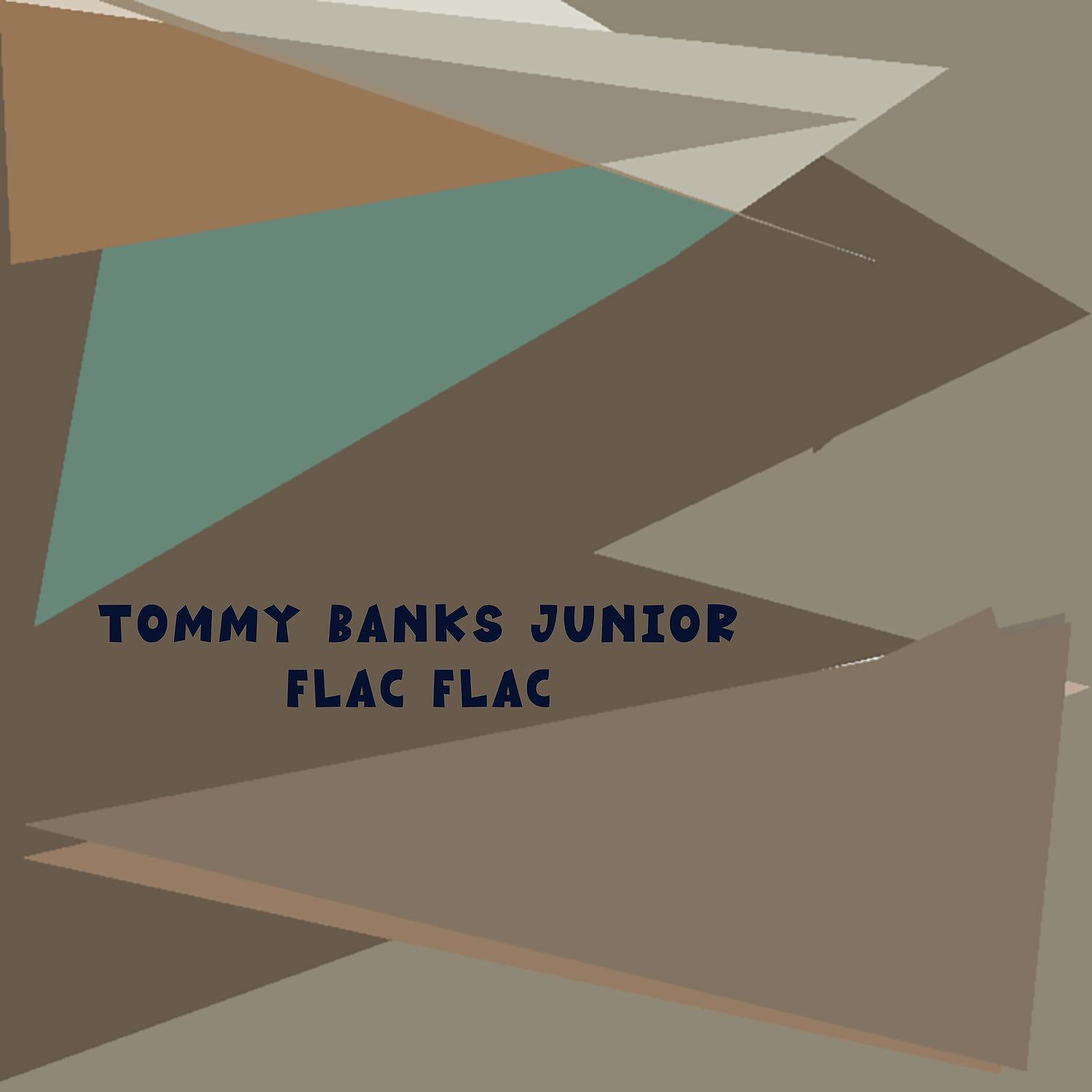 Постер альбома Flac Flac