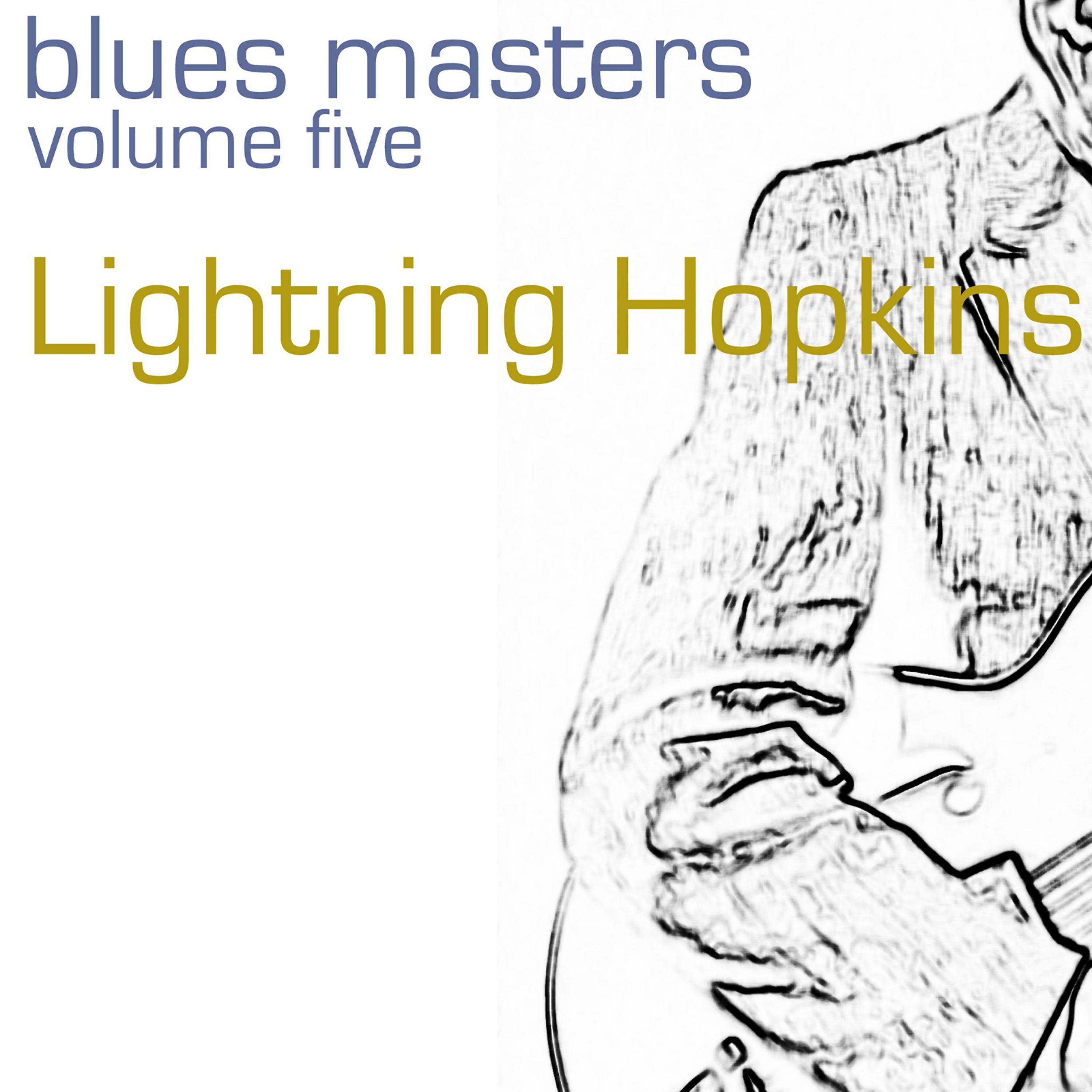 Постер альбома Blues Masters-Lightning Hopkins-Vol. 5