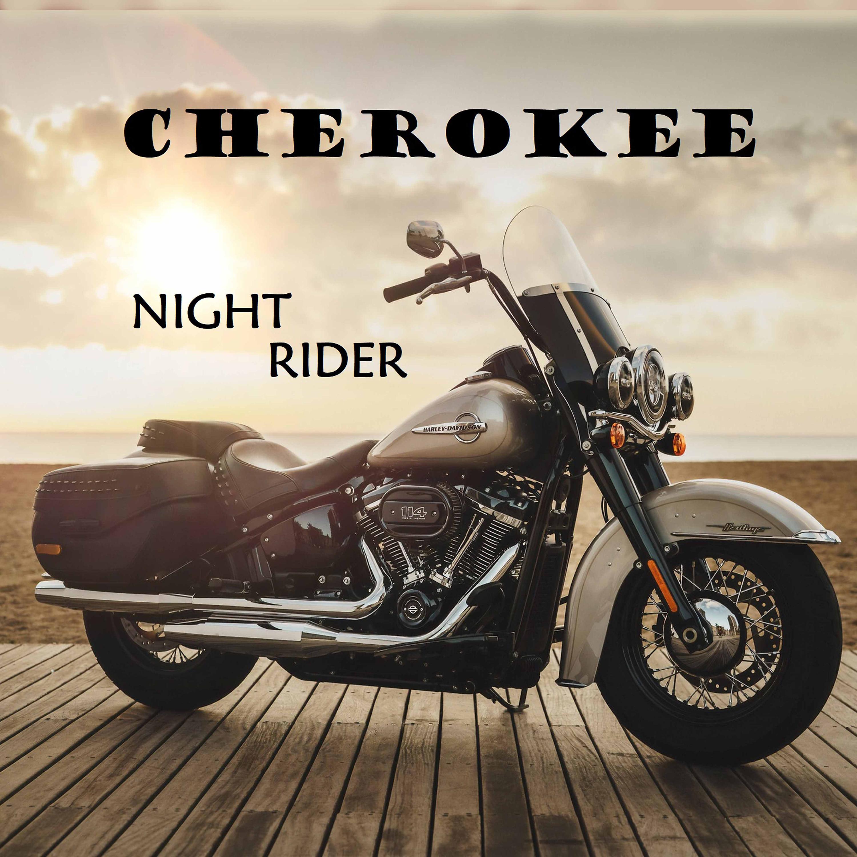 Постер альбома Night Rider (Harley Davidson)