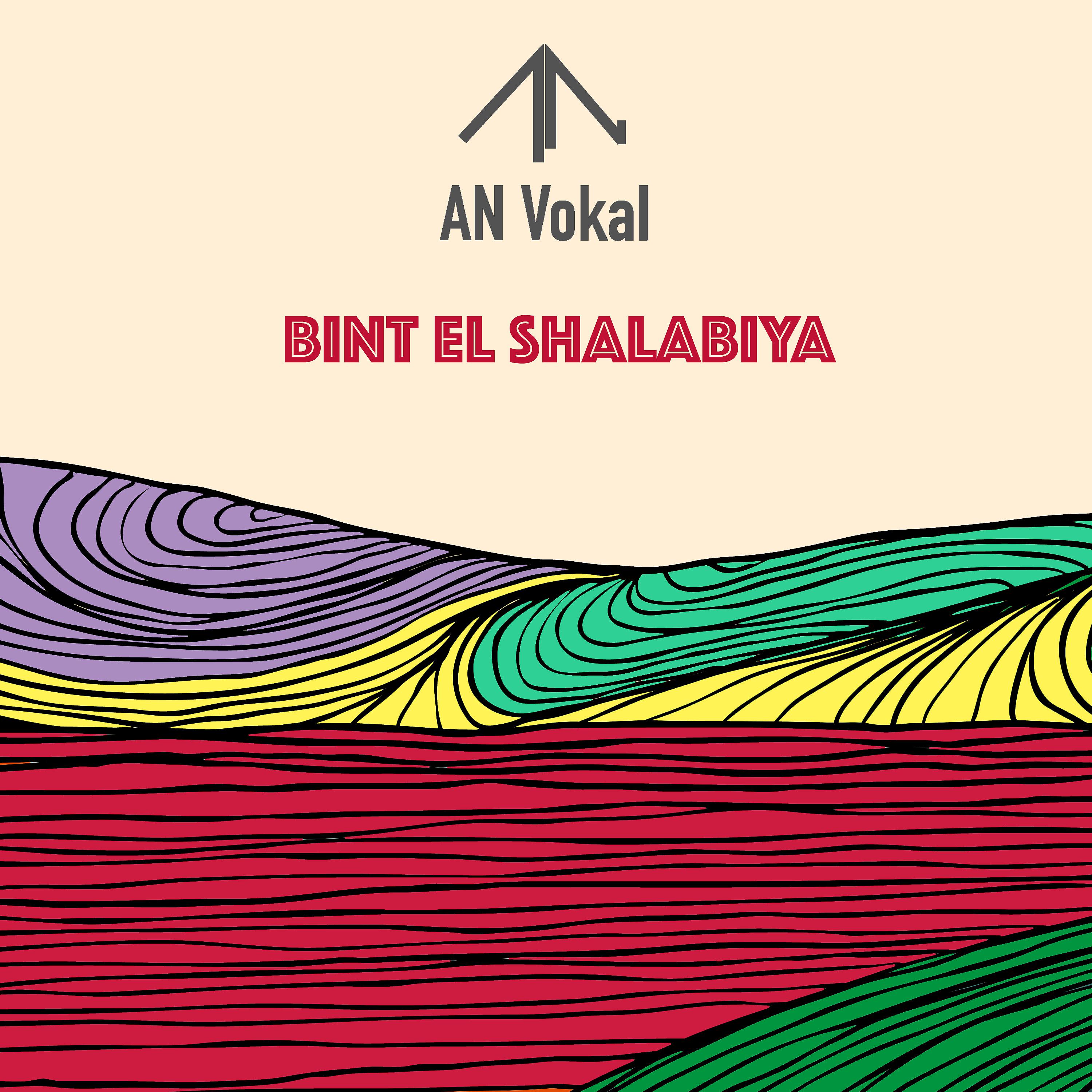 Постер альбома Bint El Shalabiya