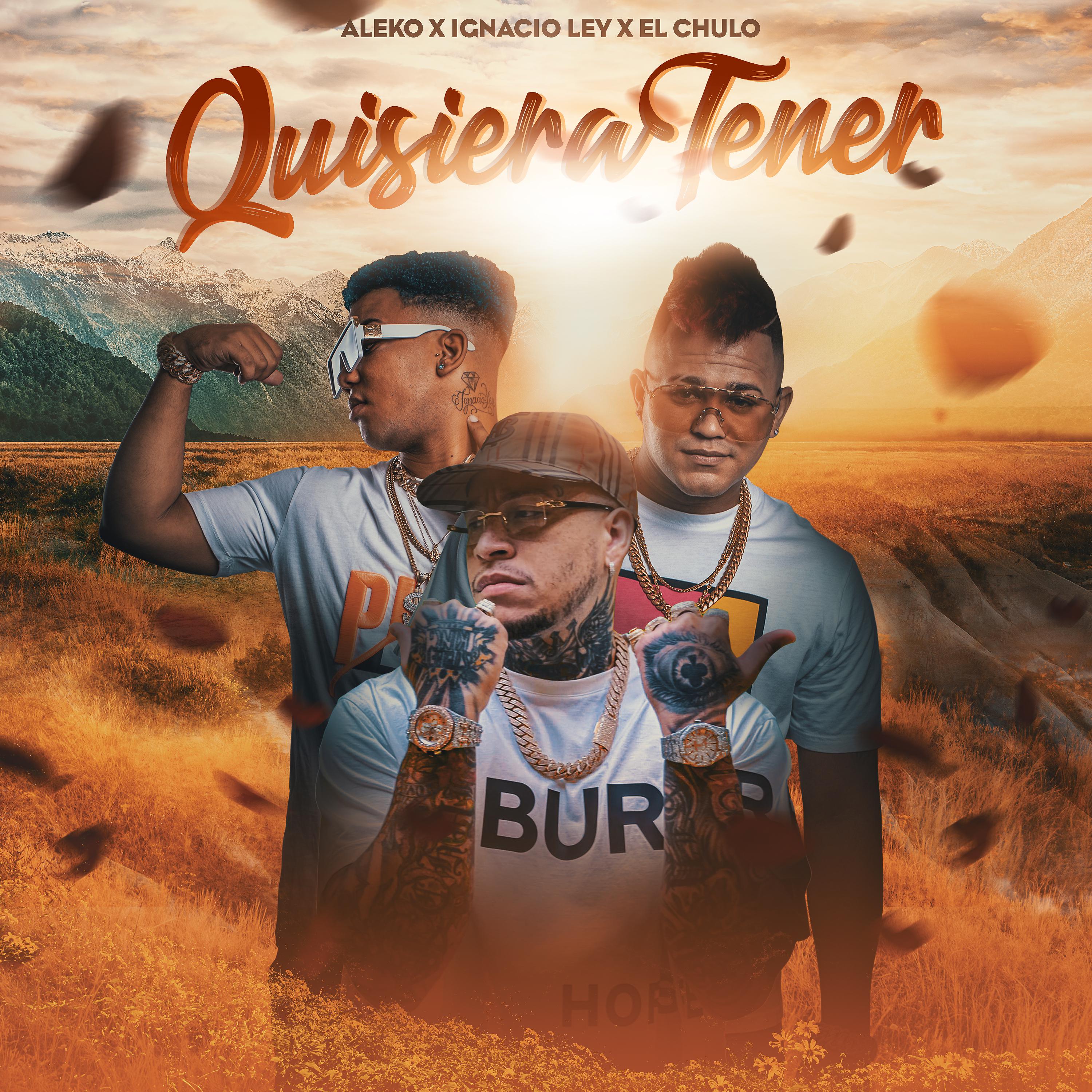 Постер альбома Quisiera Tener (Acústica)
