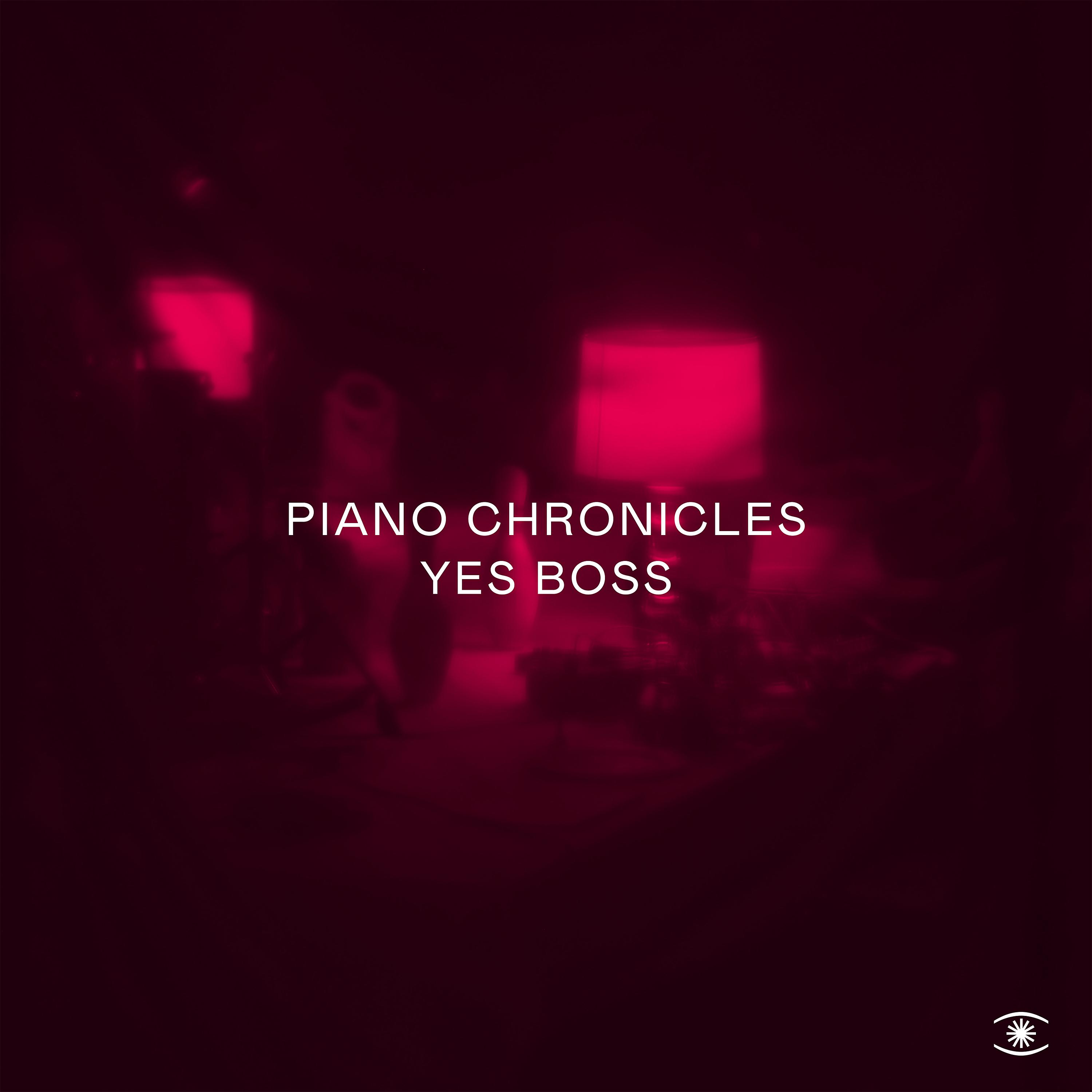 Постер альбома Piano Chronicles - Yes Boss