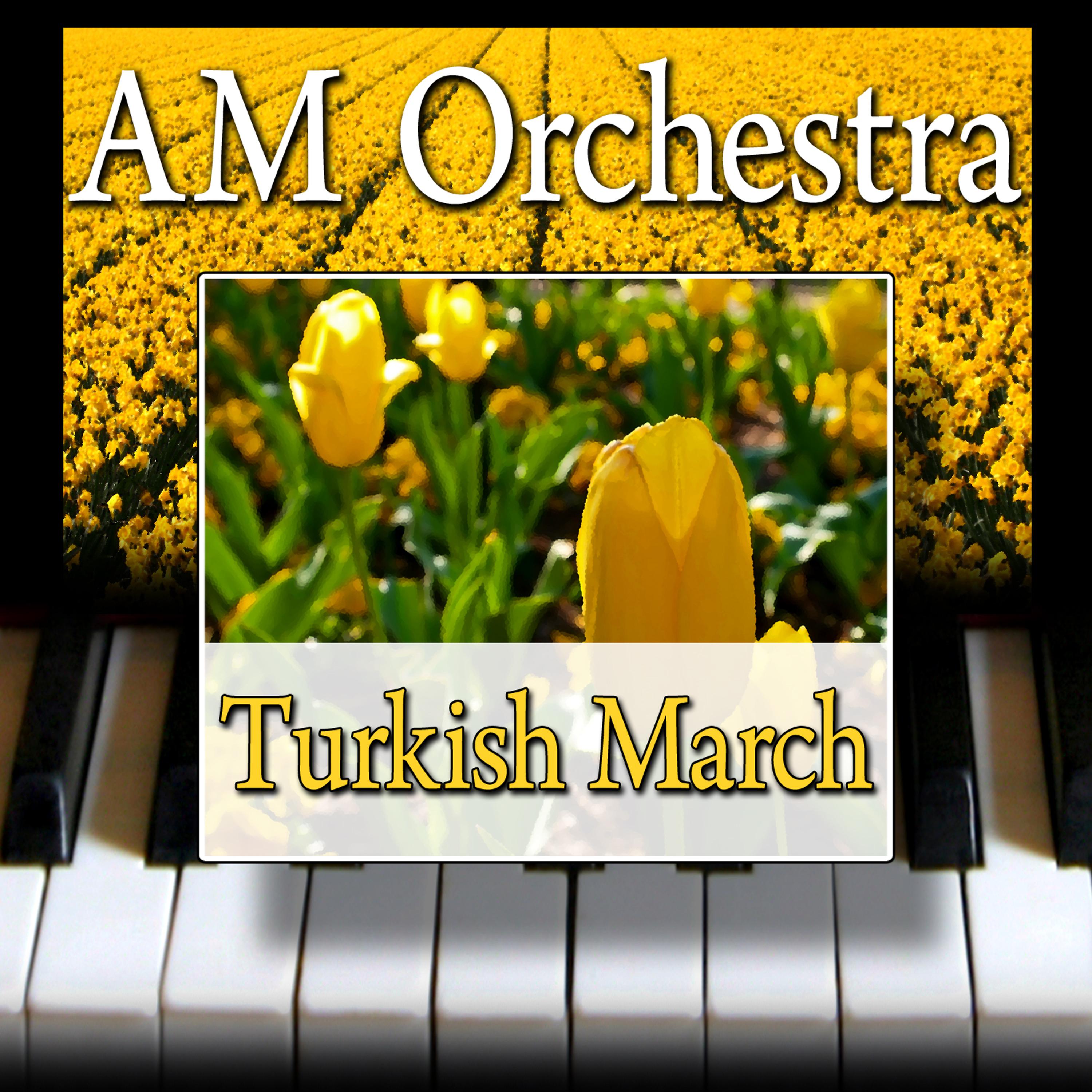 Постер альбома Turkish March