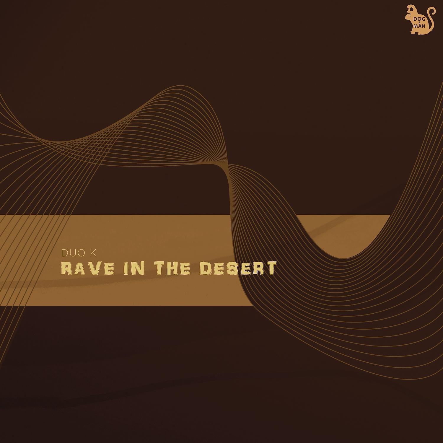 Постер альбома Rave in the Desert