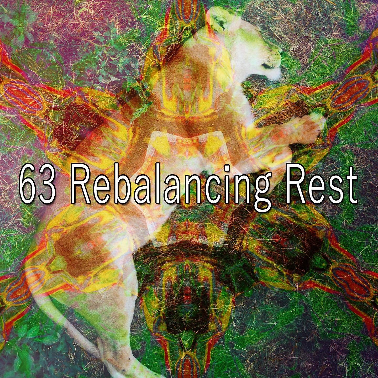 Spa & Spa - Extinguishing the Insomniacs Anguish