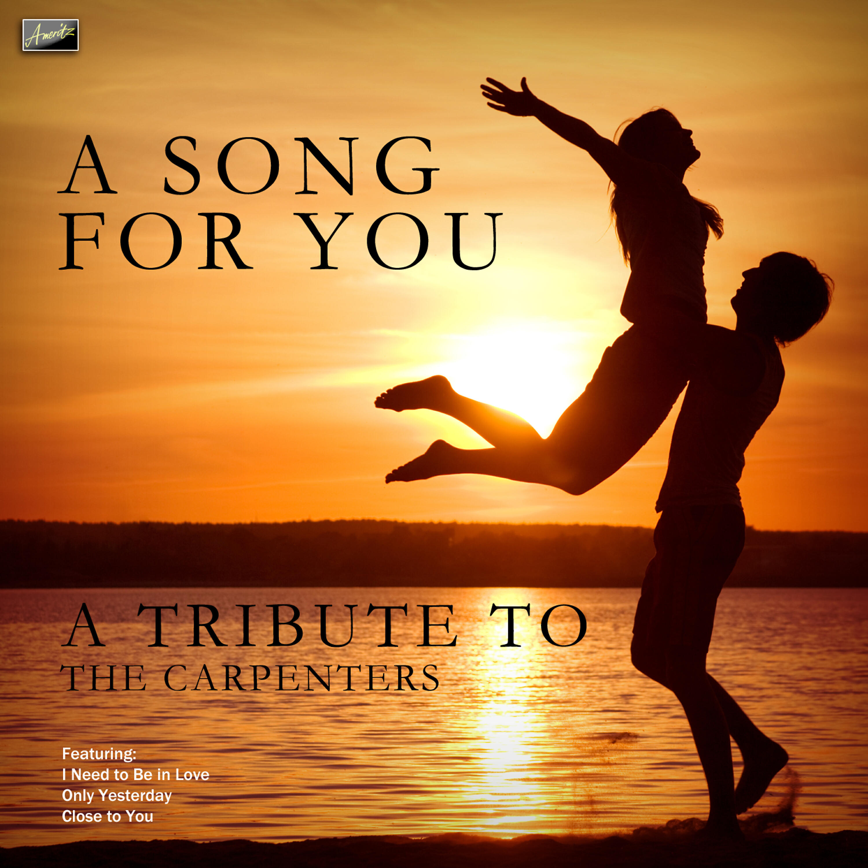 Ameritz Tribute Crew - A Song for You