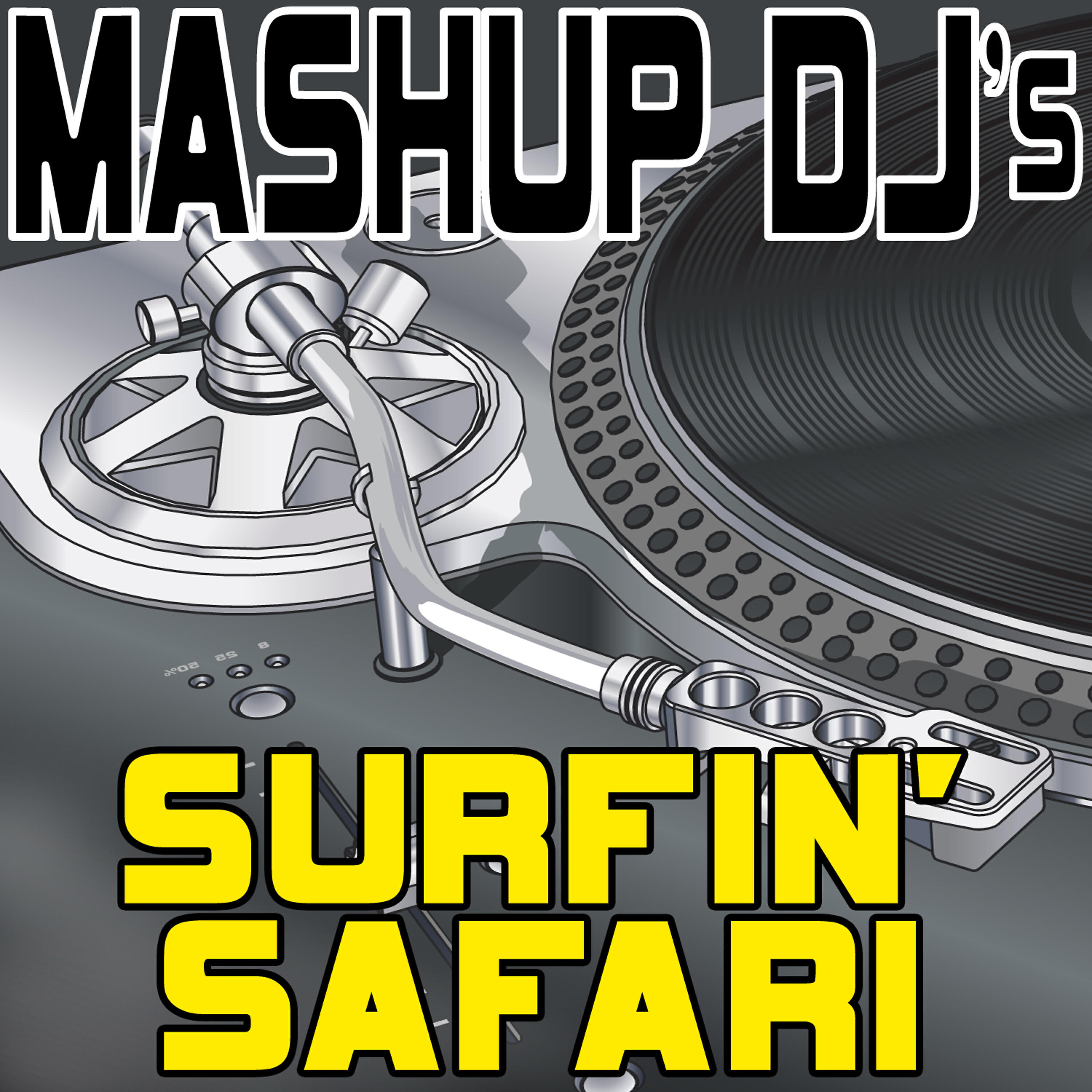 Mashup DJ's - Surfin' Safari (Original Radio Mix) [Re-Mix Tool]