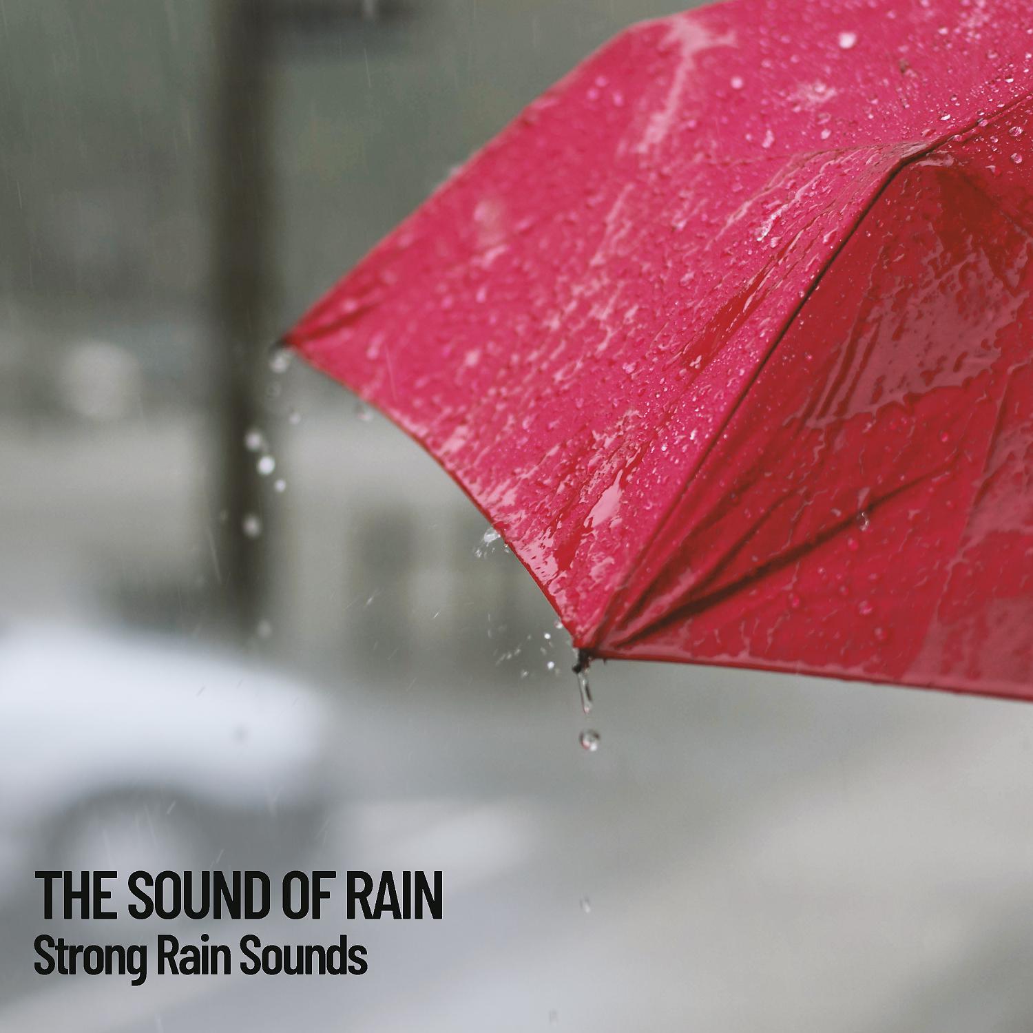 Постер альбома The Sound of Rain: Strong Rain Sounds