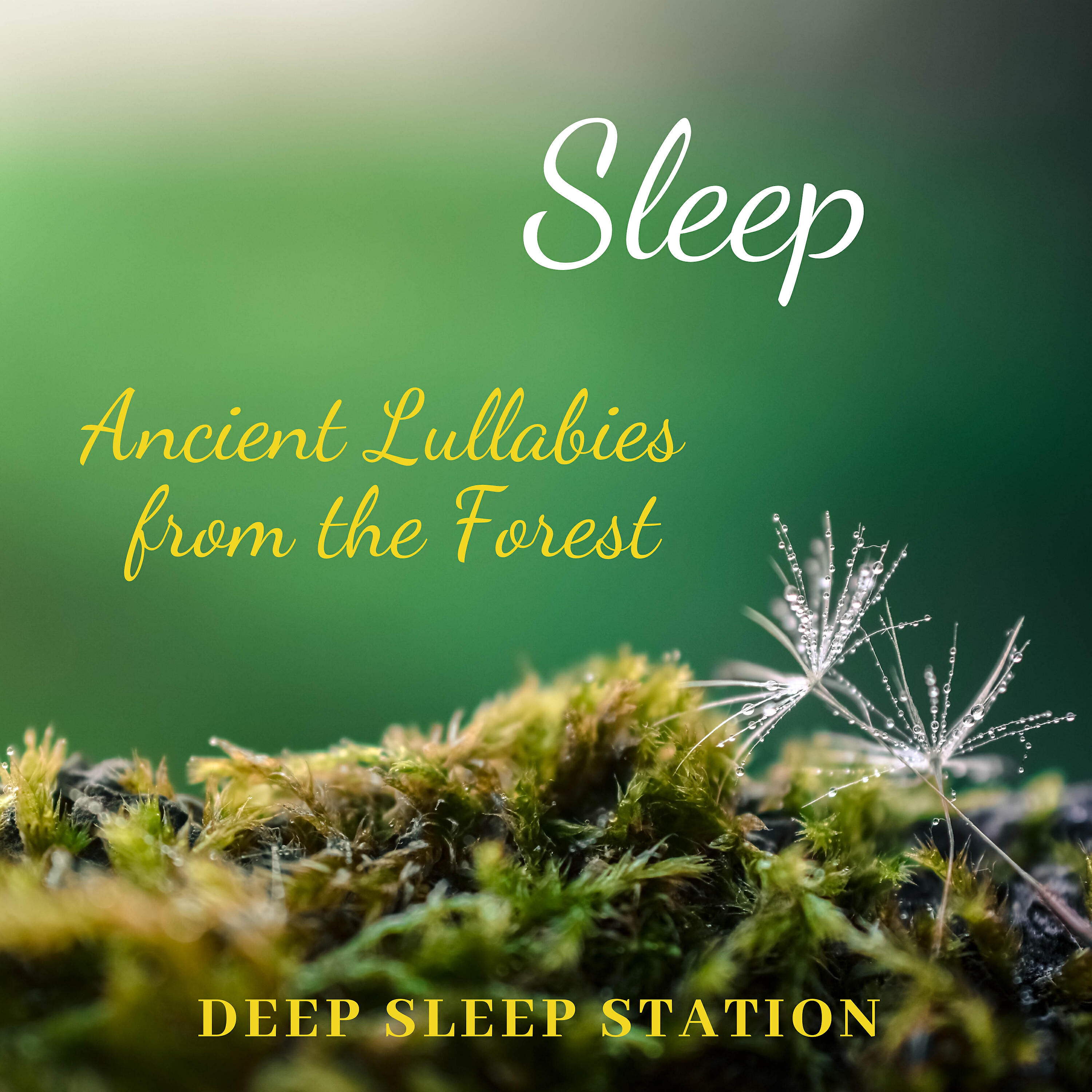 Deep Sleep Station - Swing the Cradle