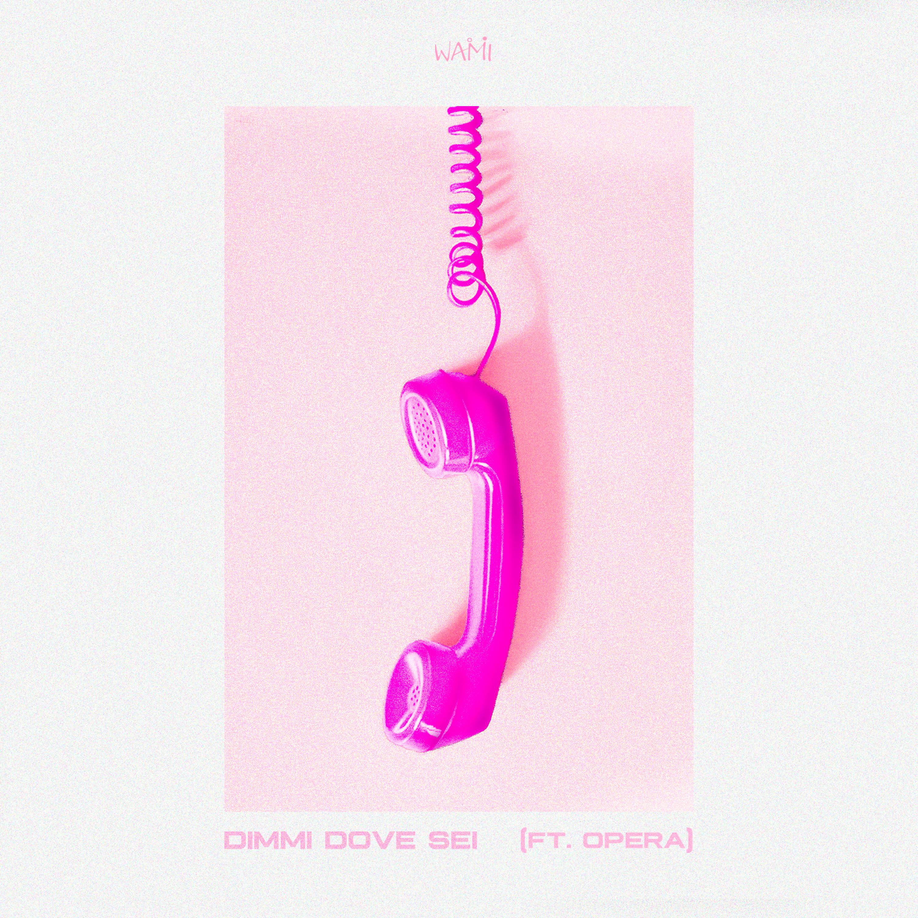 Постер альбома Dimmi Dove Sei