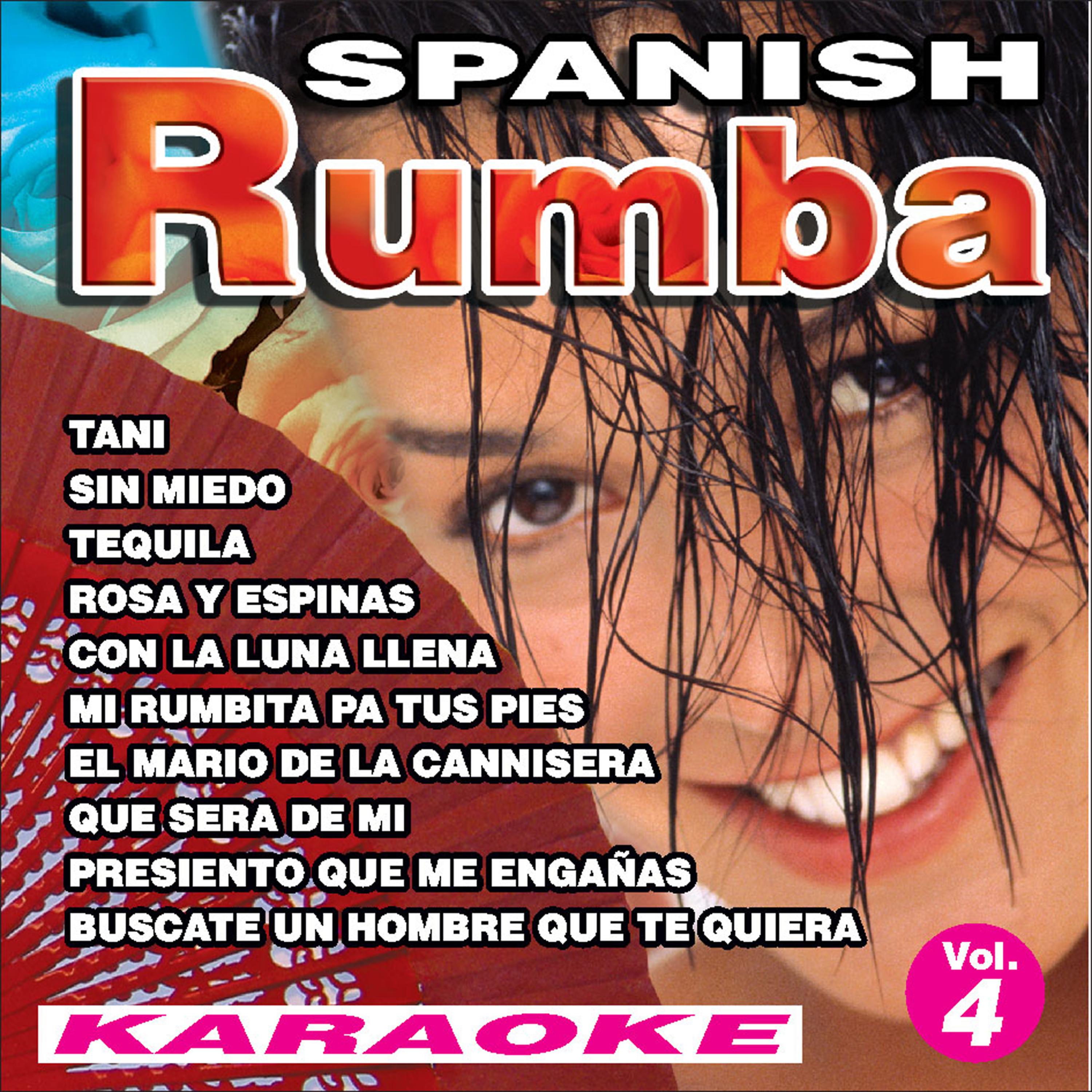 Постер альбома Spanish Rumba 4 Karaoke