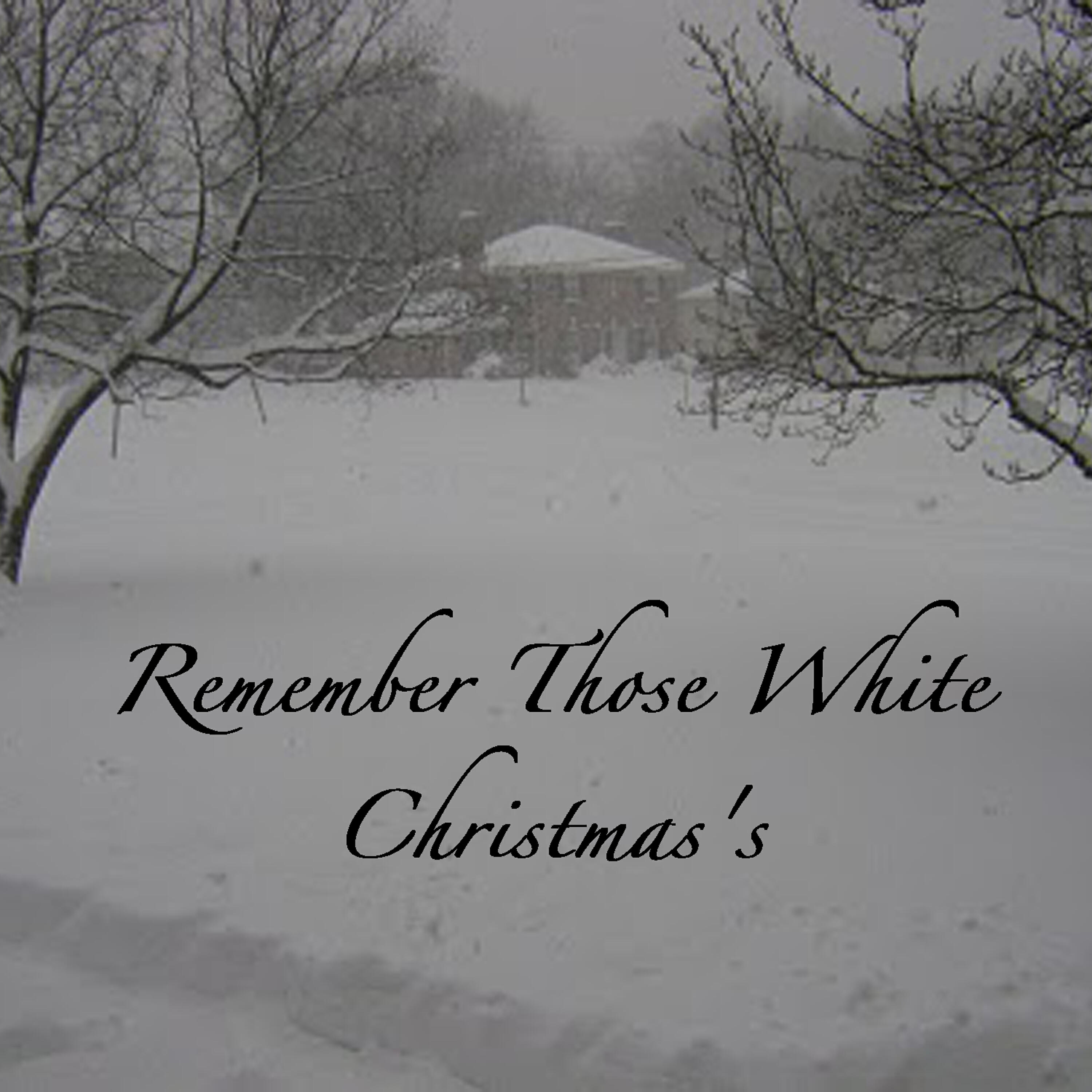Zonin - This Time of the Year