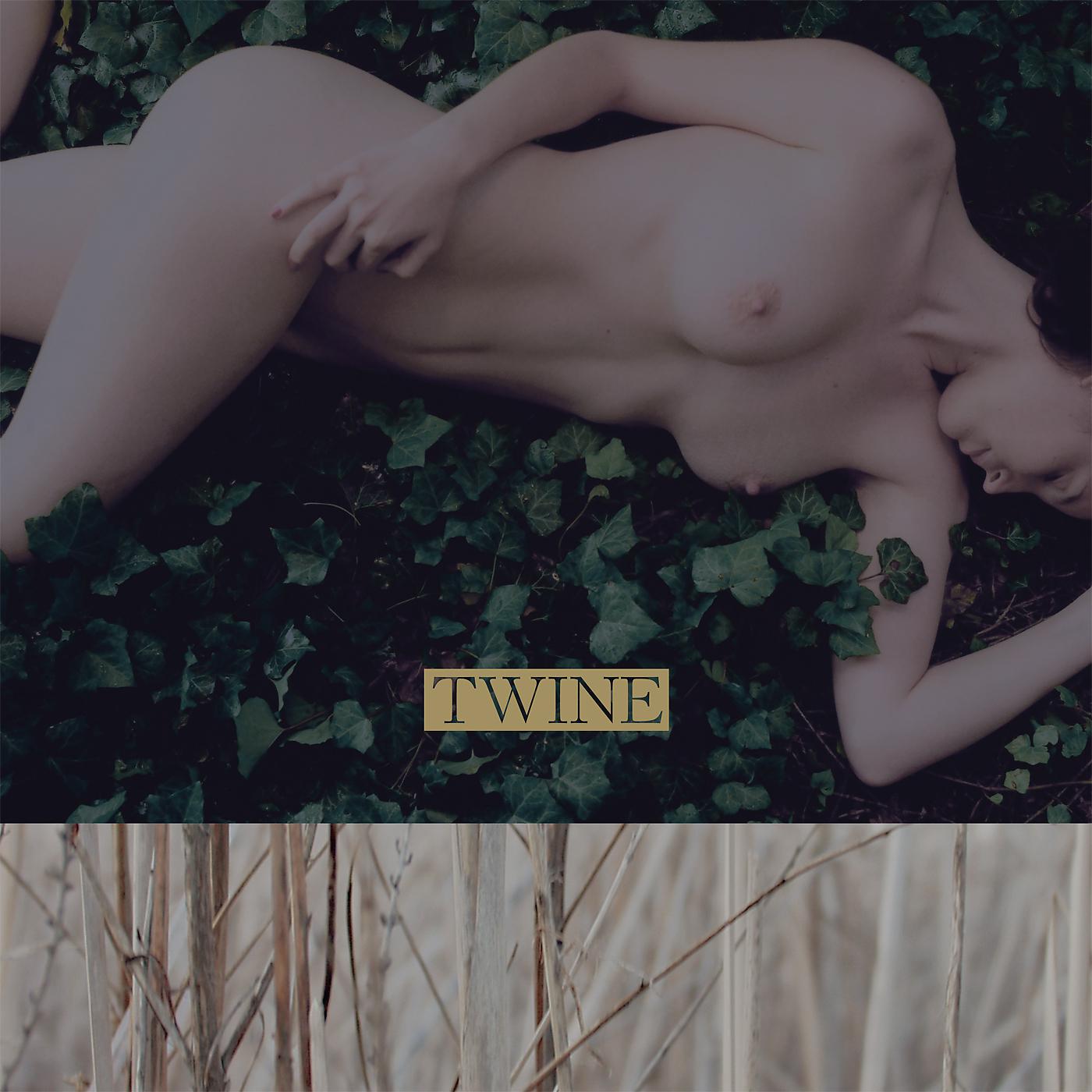 Постер альбома Twine