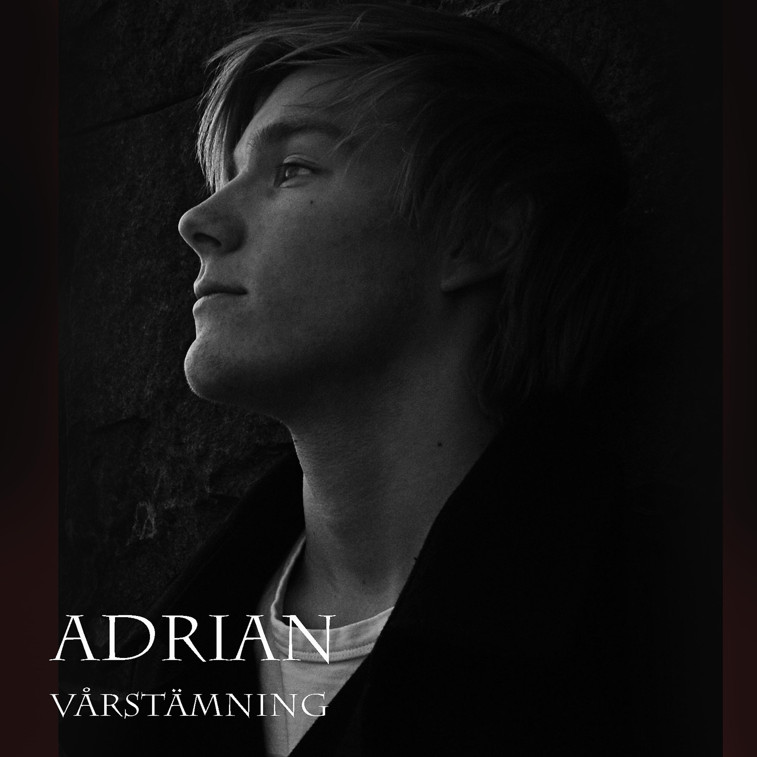Постер альбома Vårstämning