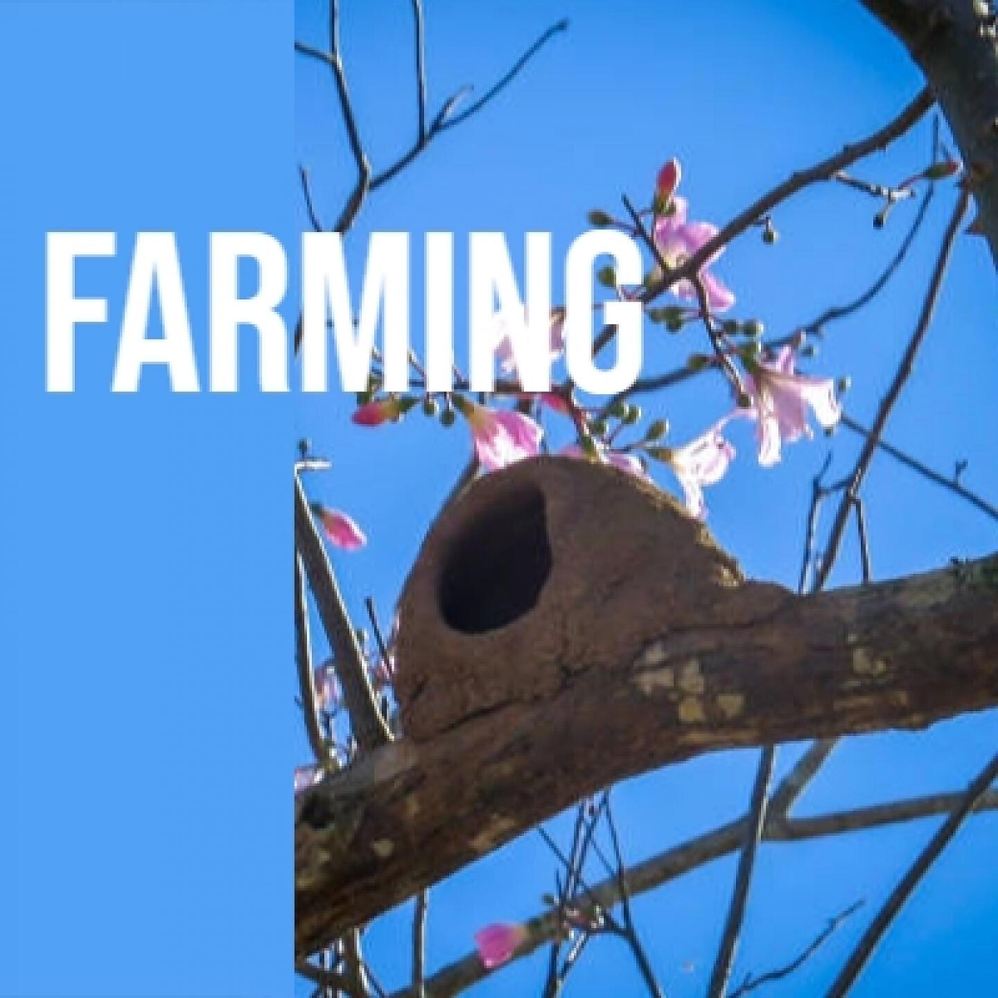 Danny Kaye - Farming