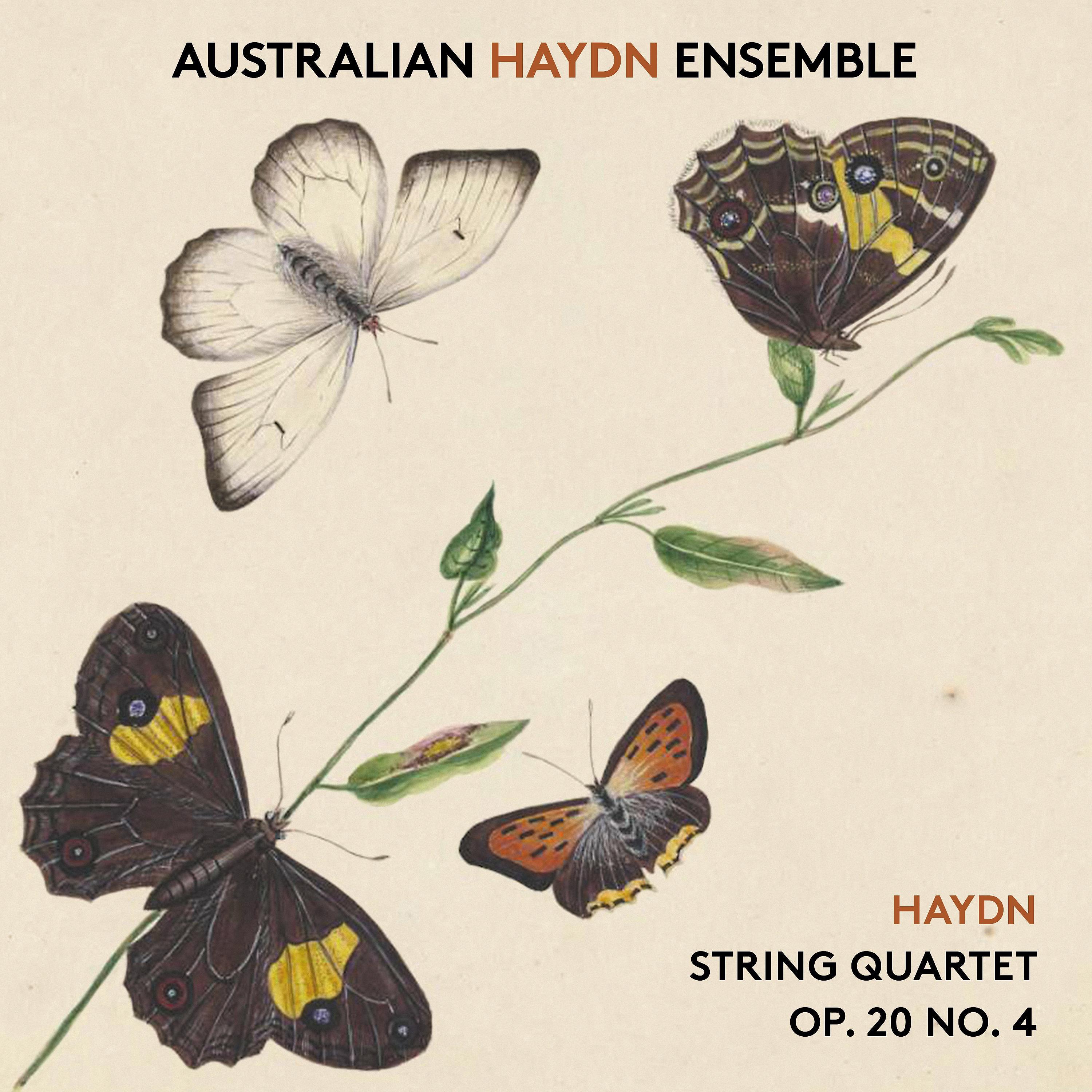 Постер альбома Haydn String Quartet, Op. 20, No. 4