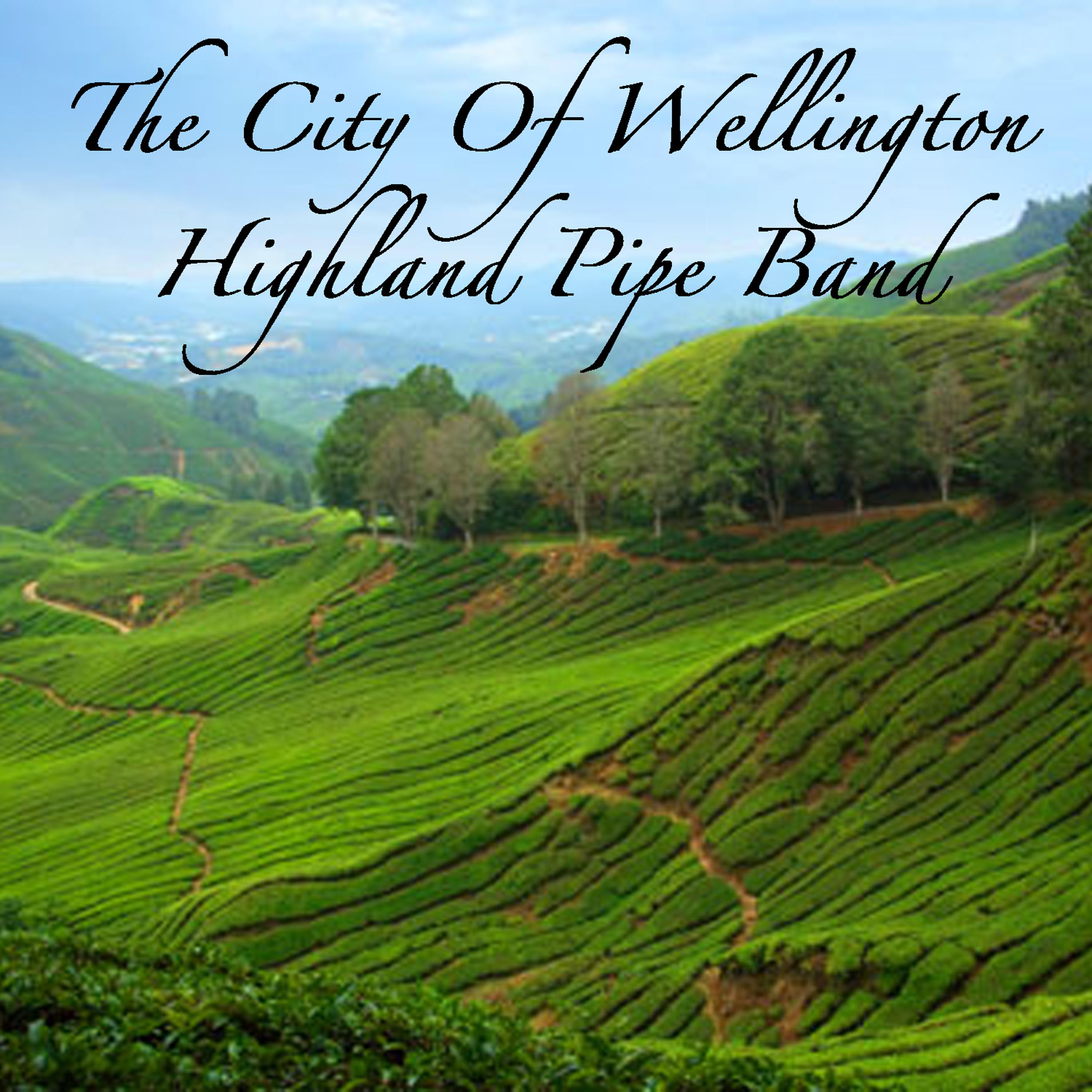 Постер альбома The City of Wellington Highland Pipe Band