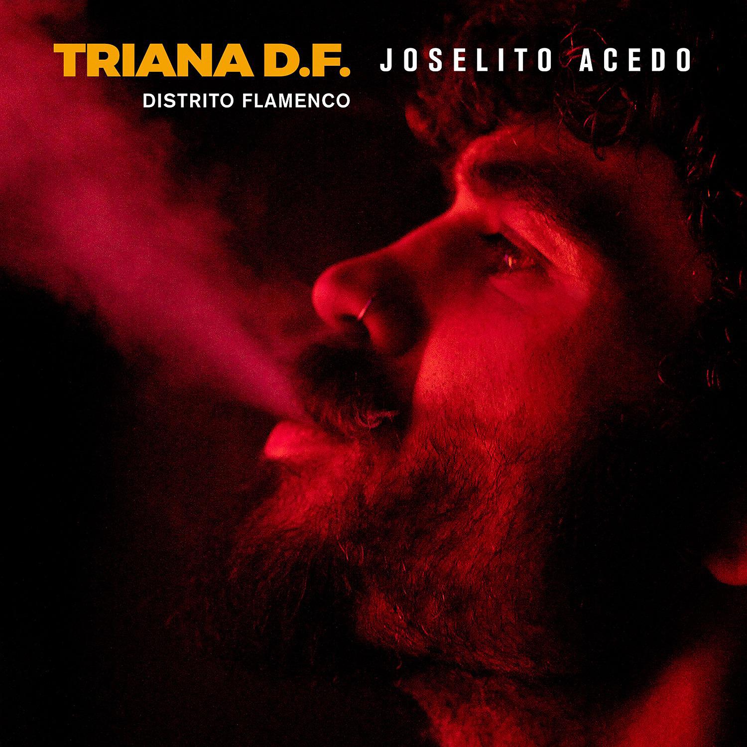 Постер альбома Triana D.F. - Distrito Flamenco