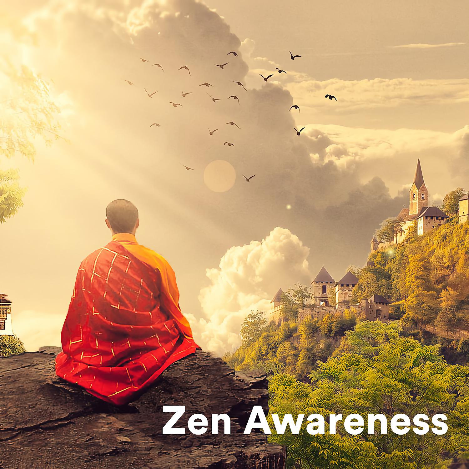 Постер альбома Zen Awareness