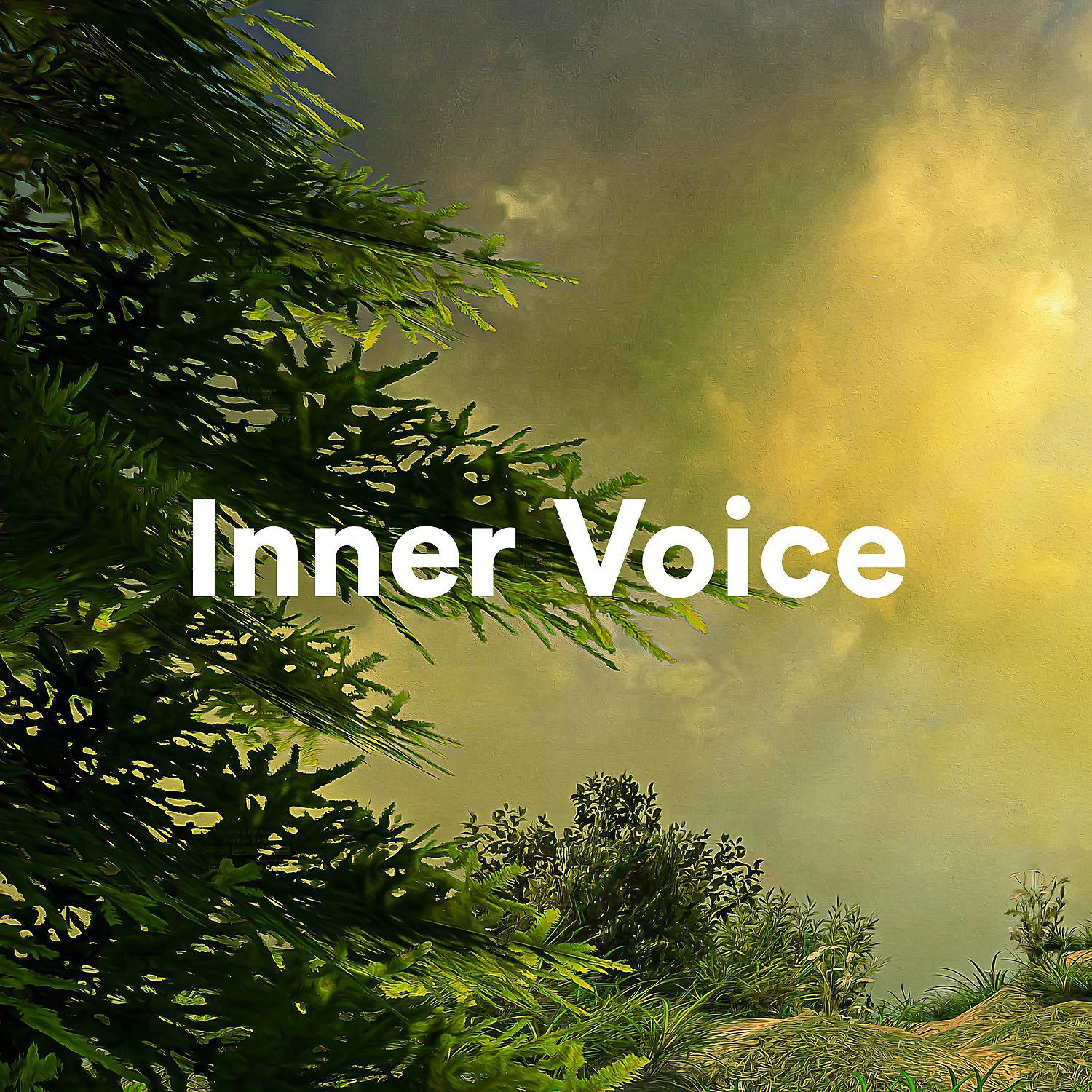 Постер альбома Inner Voice