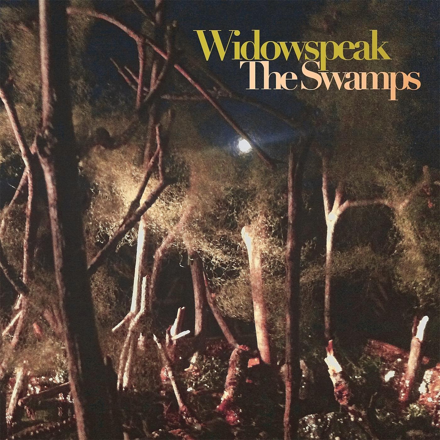 Постер альбома The Swamps