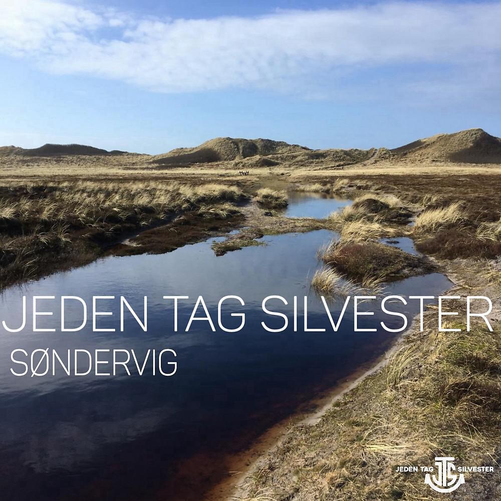 Постер альбома Søndervig