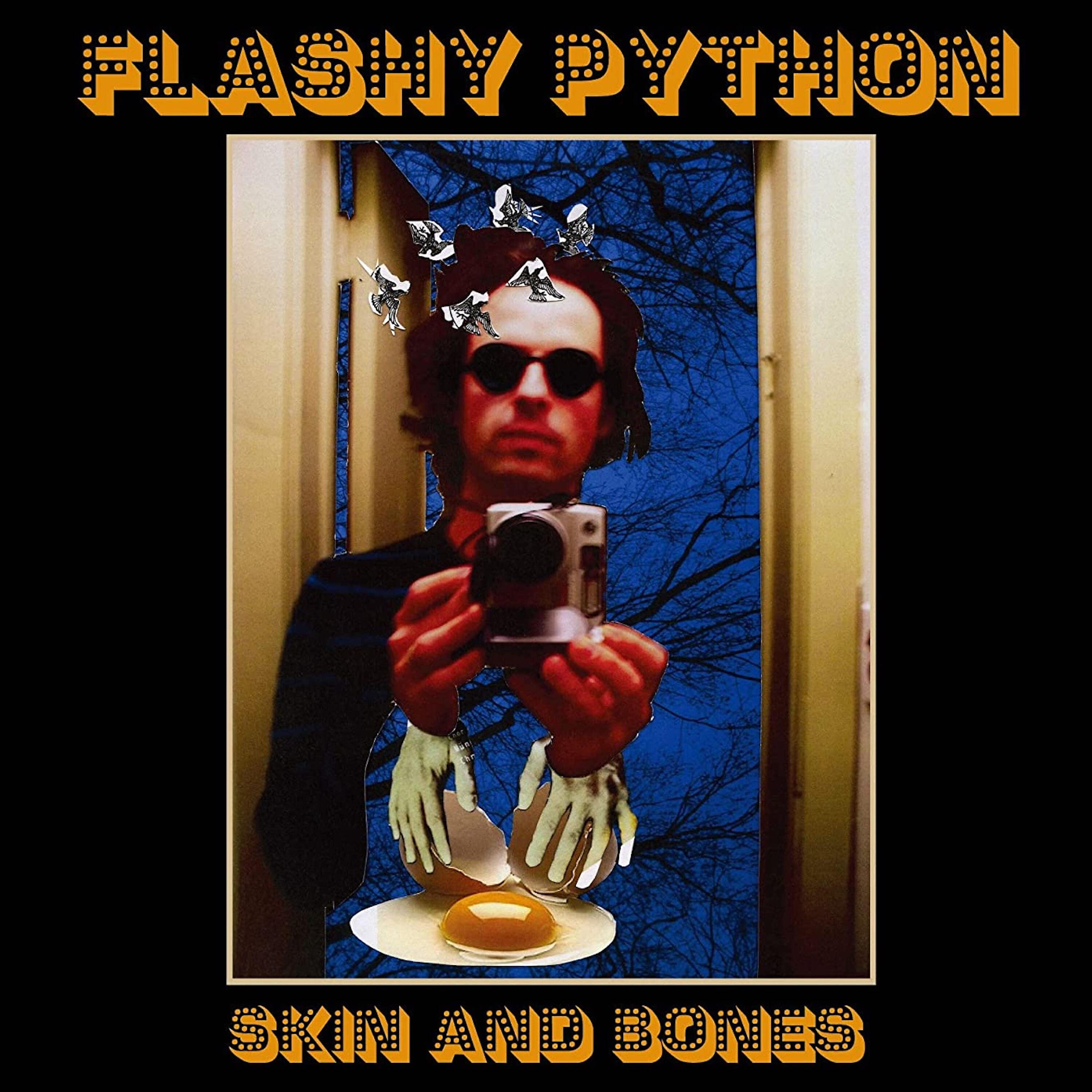 Flashy Python - The Lady is a Ghost