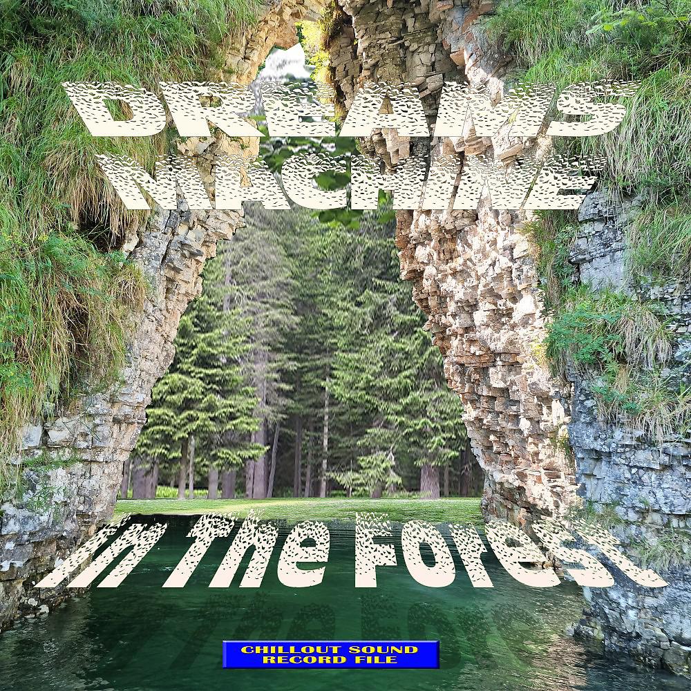 Постер альбома Nella Foresta