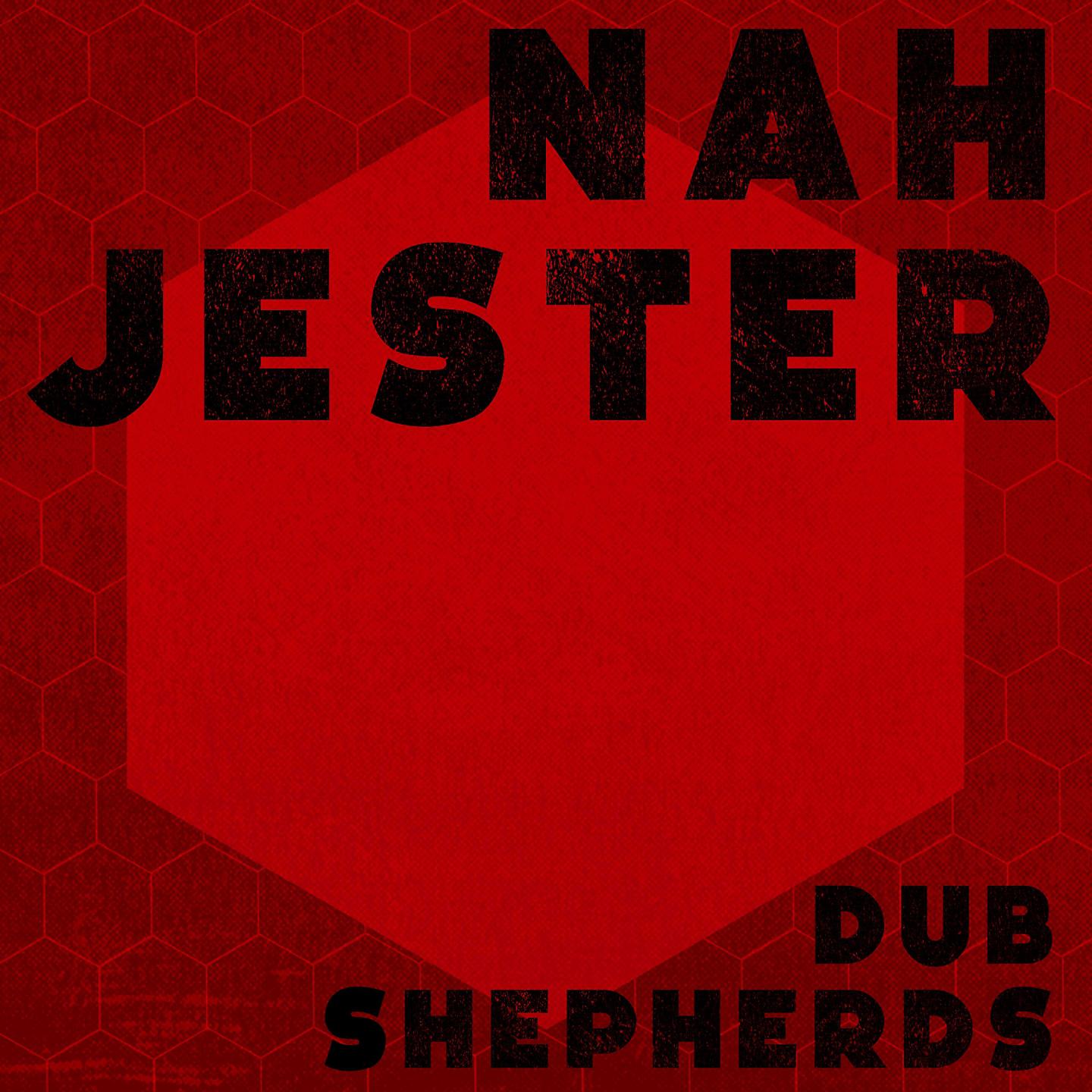 Постер альбома Nah Jester