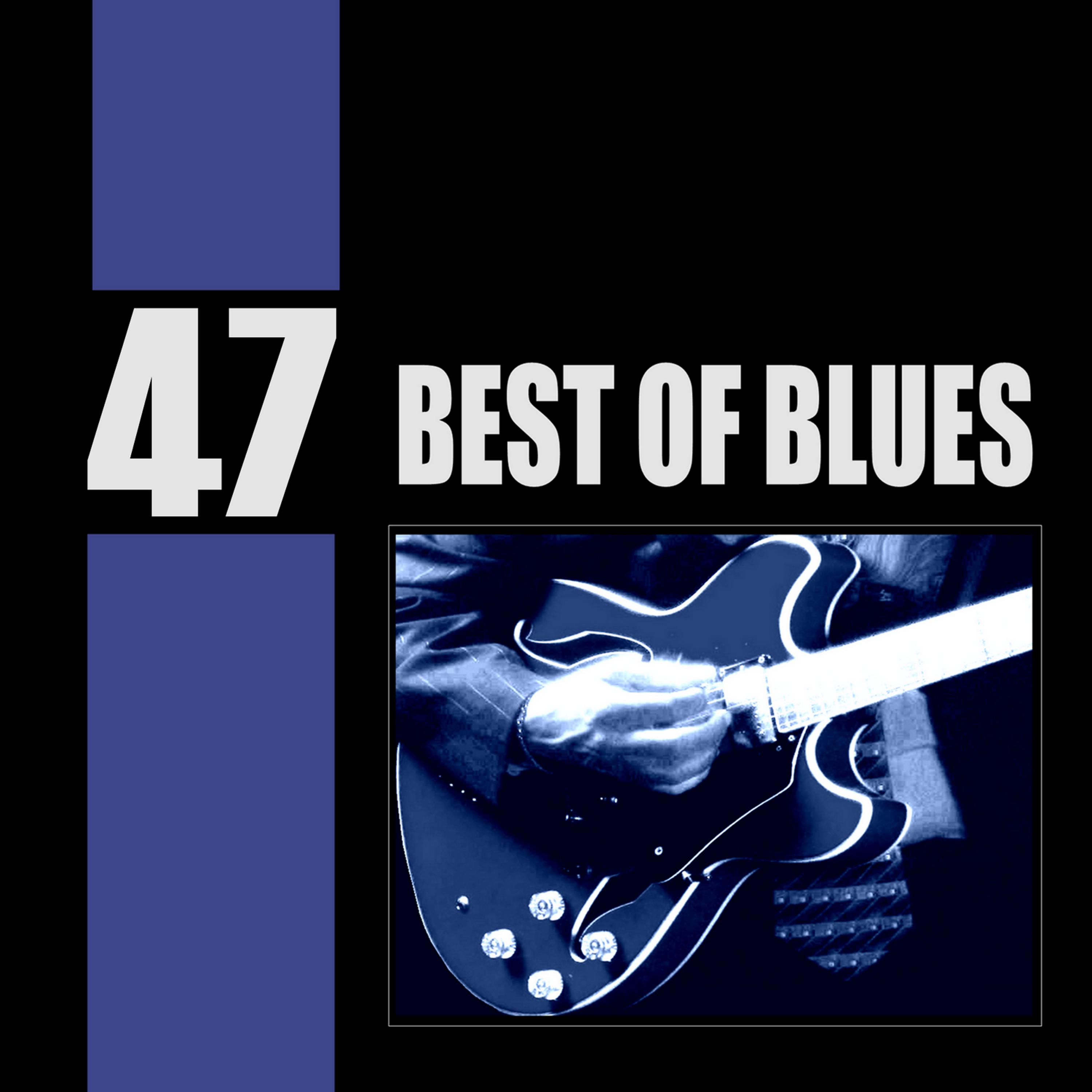 Постер альбома 47 Best of the Blues