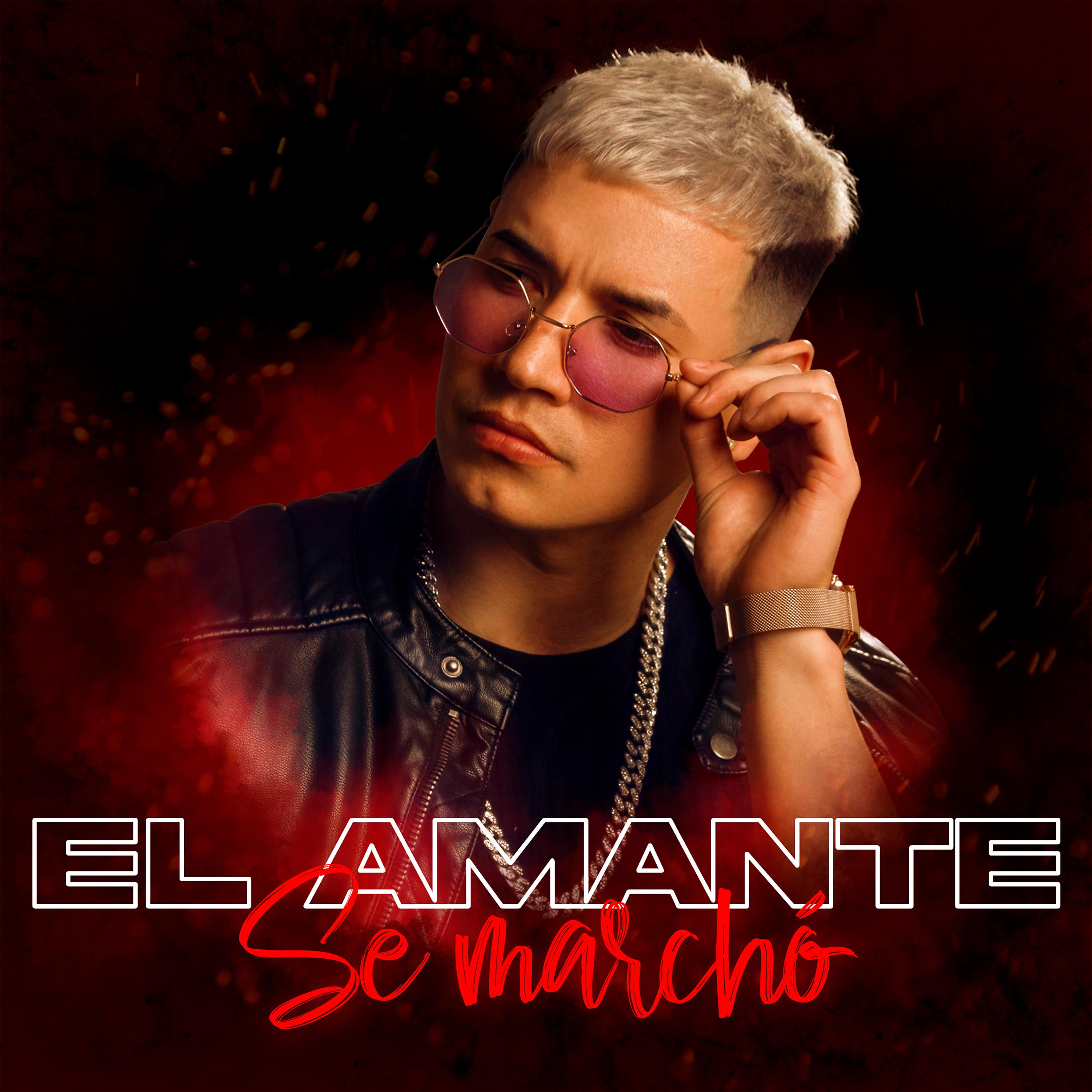 Постер альбома Se Marchó