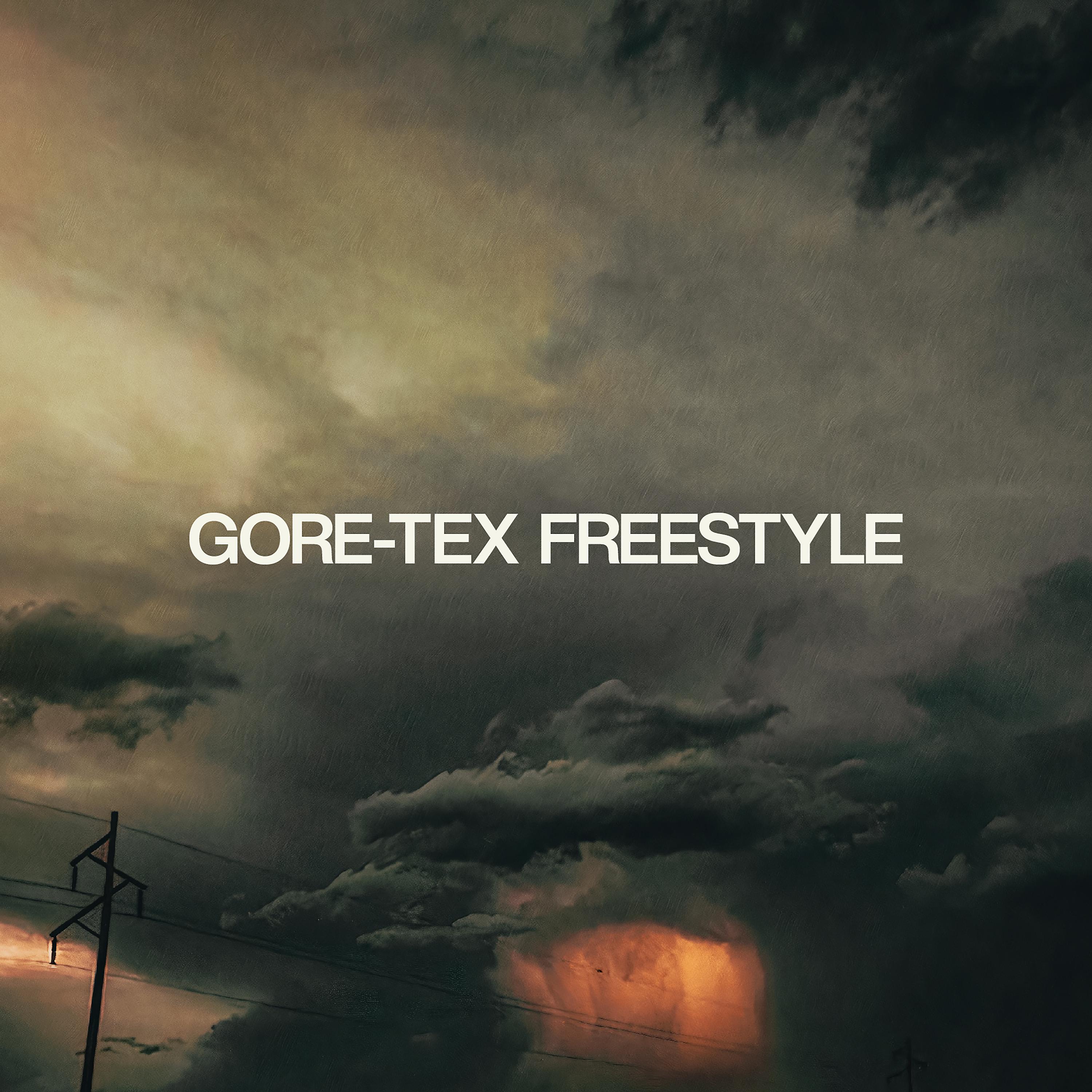 Постер альбома Gore-Tex Freestyle