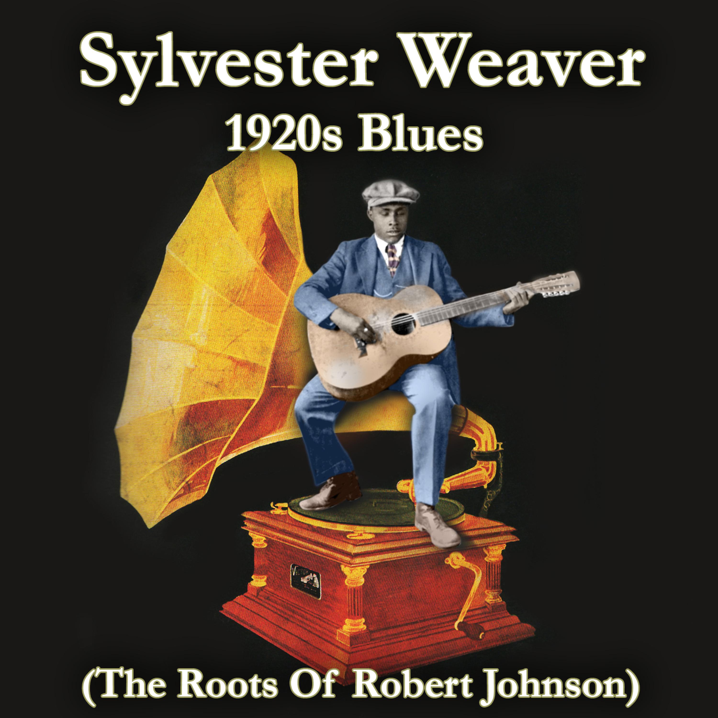 Постер альбома 1920s Blues (The Roots of Robert Johnson)