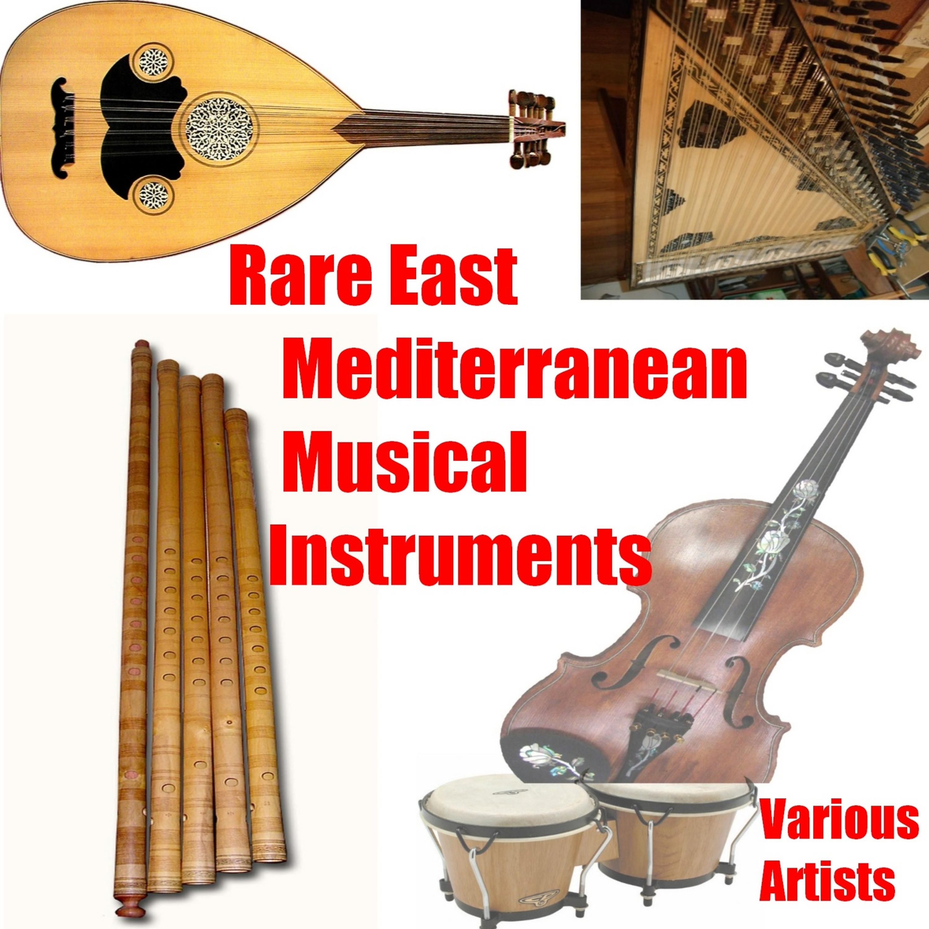 Постер альбома Rare East Mediterranean Musical Instruments