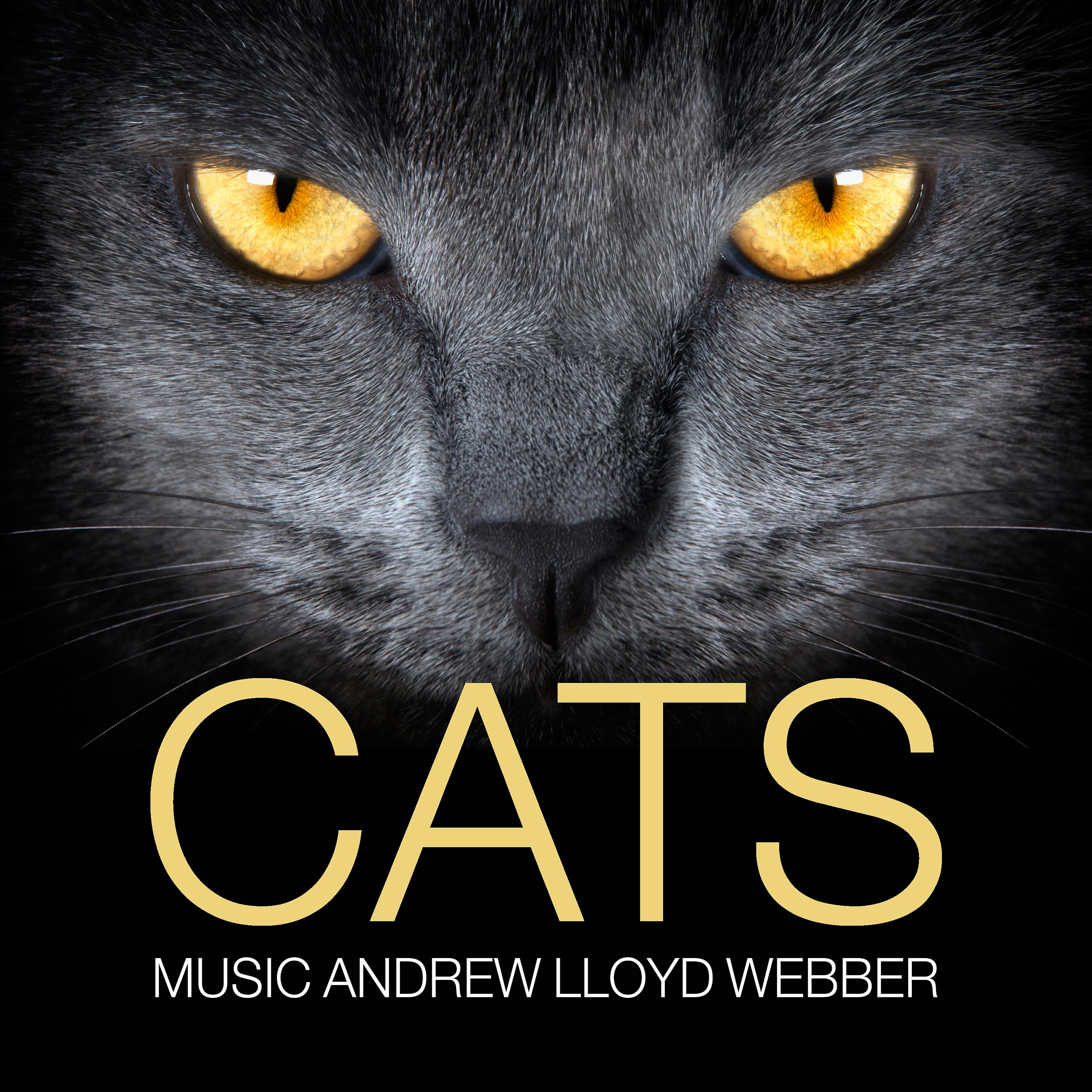 Постер альбома Cats (Music by Andrew Lloyd Webber)