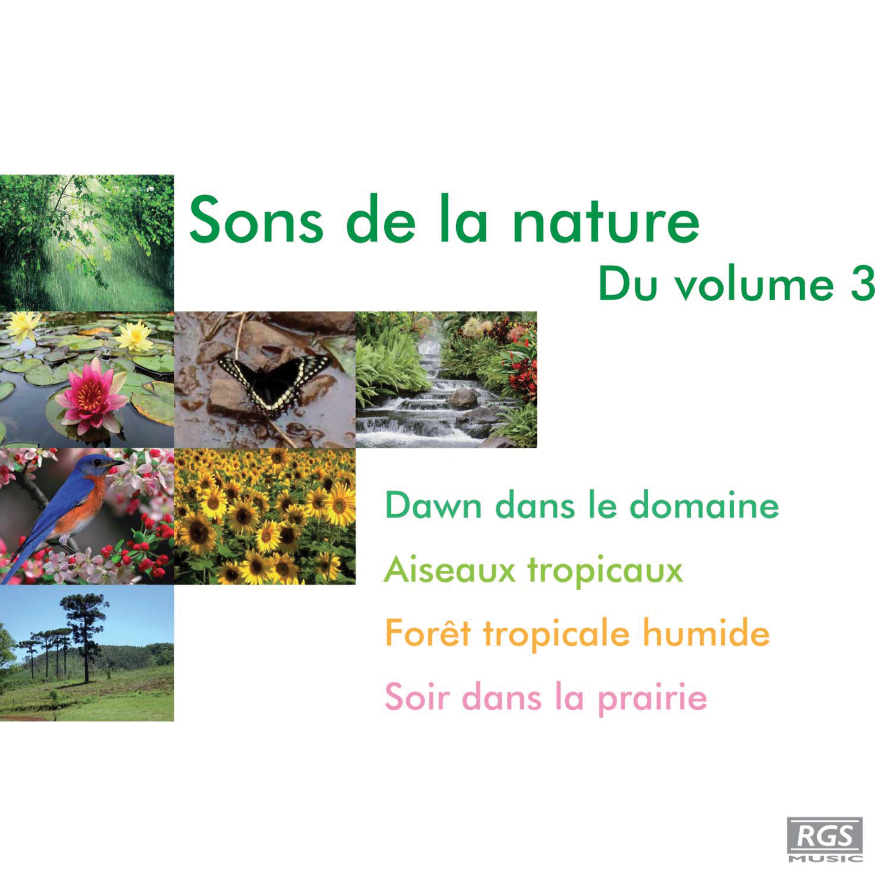 Постер альбома Sons De La Nature Du Volume 3