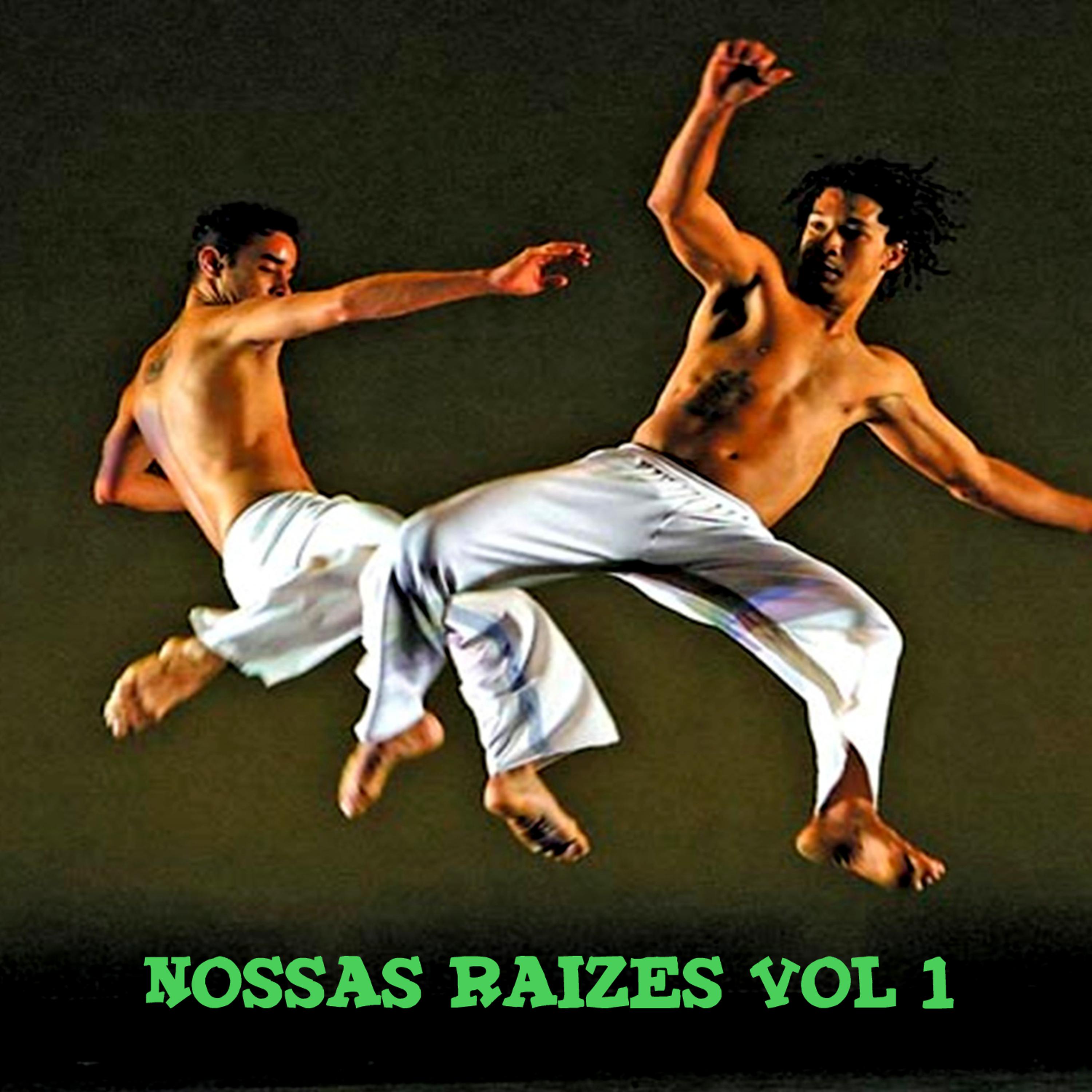 Постер альбома Nossas Raizes Vol 1