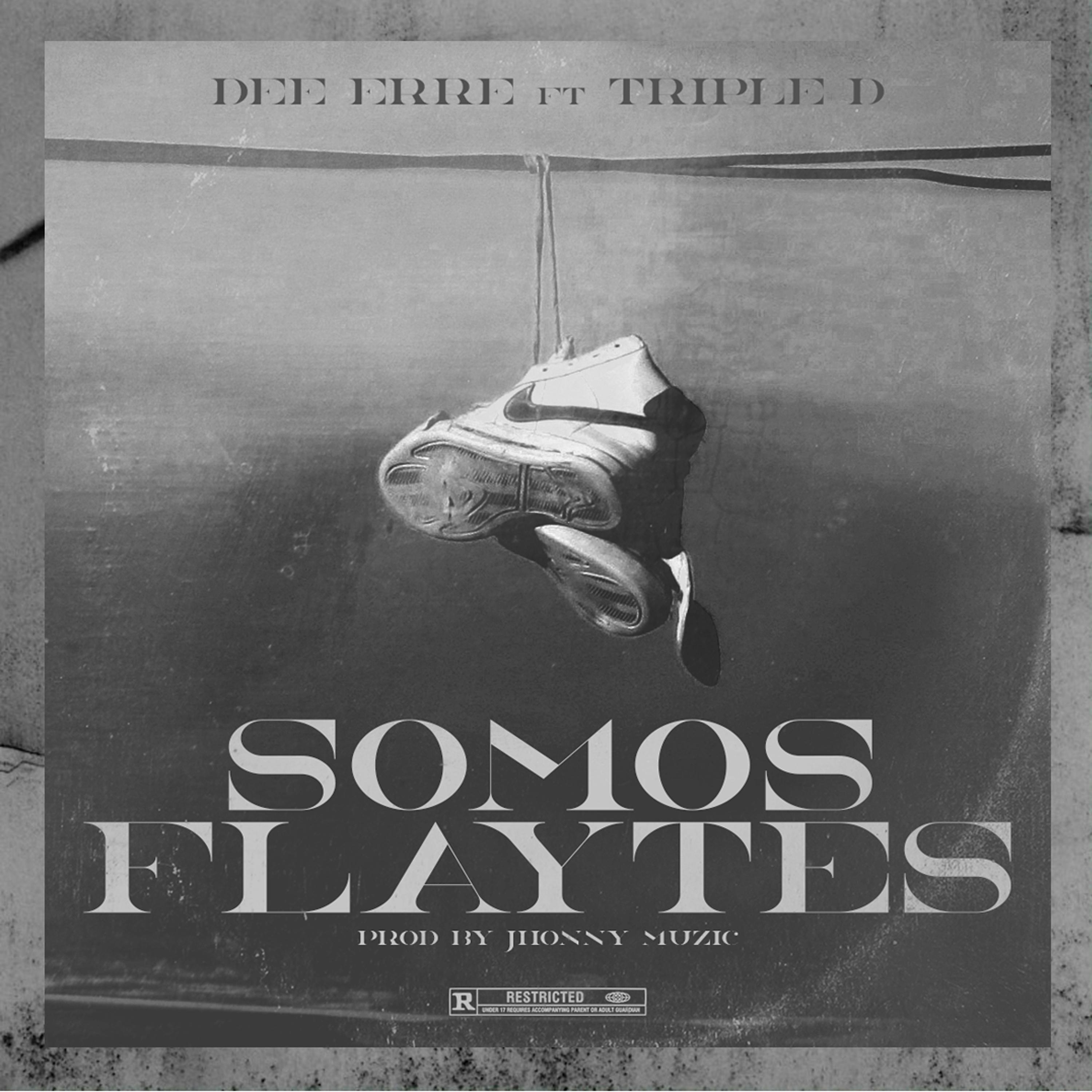 Постер альбома Somos Flaytes