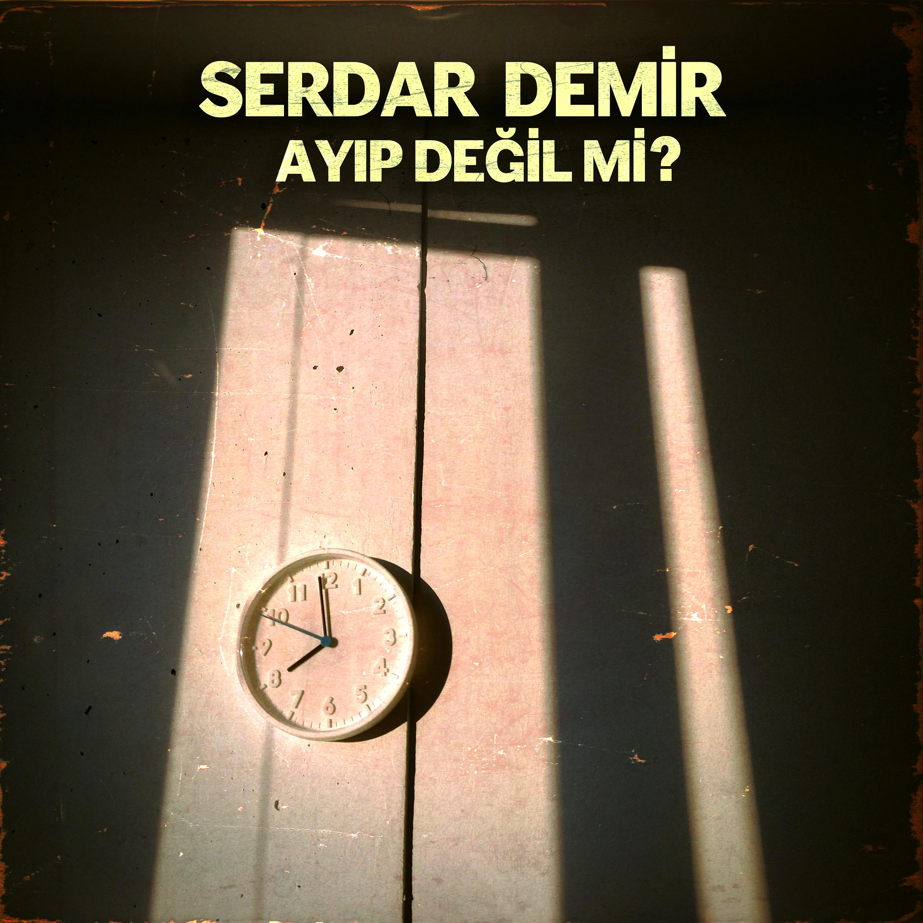 Постер альбома Ayıp Değil mi?