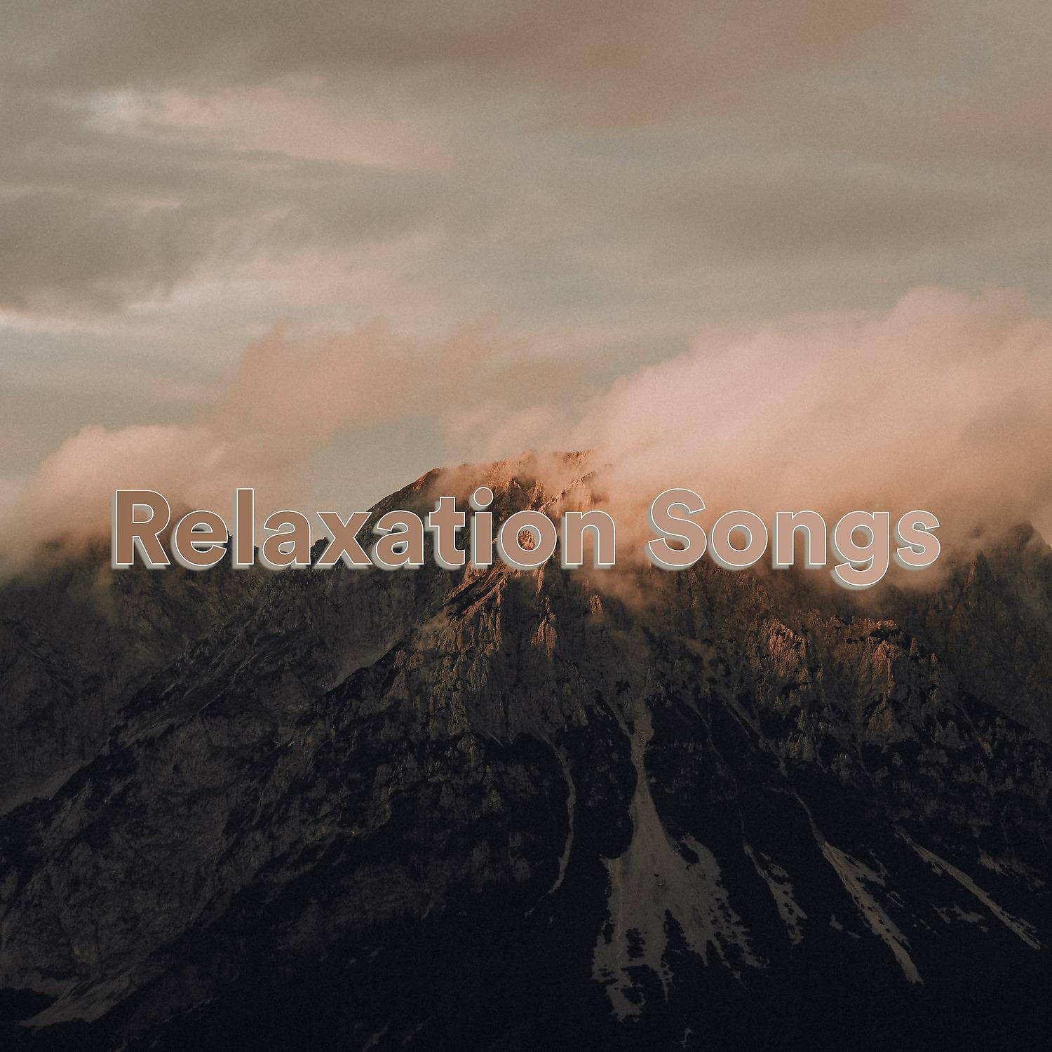 Постер альбома Relaxation Songs