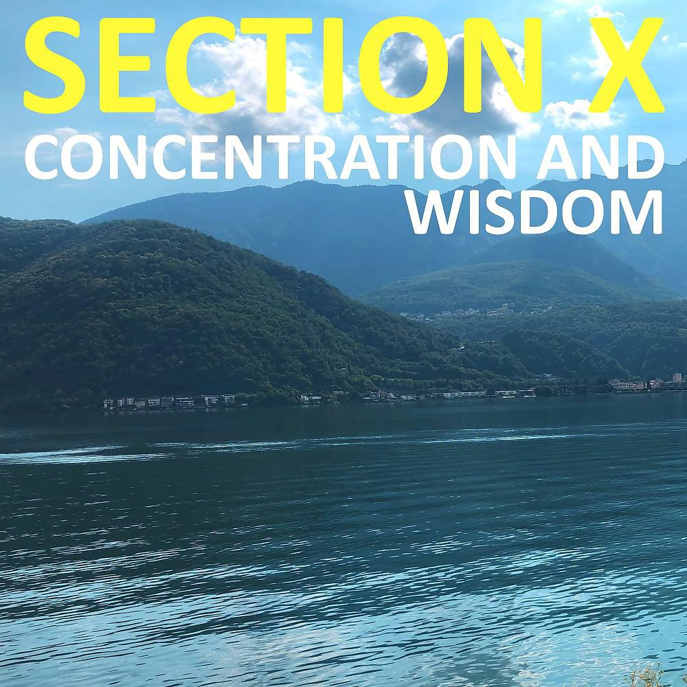 Постер альбома Concentration and Wisdom
