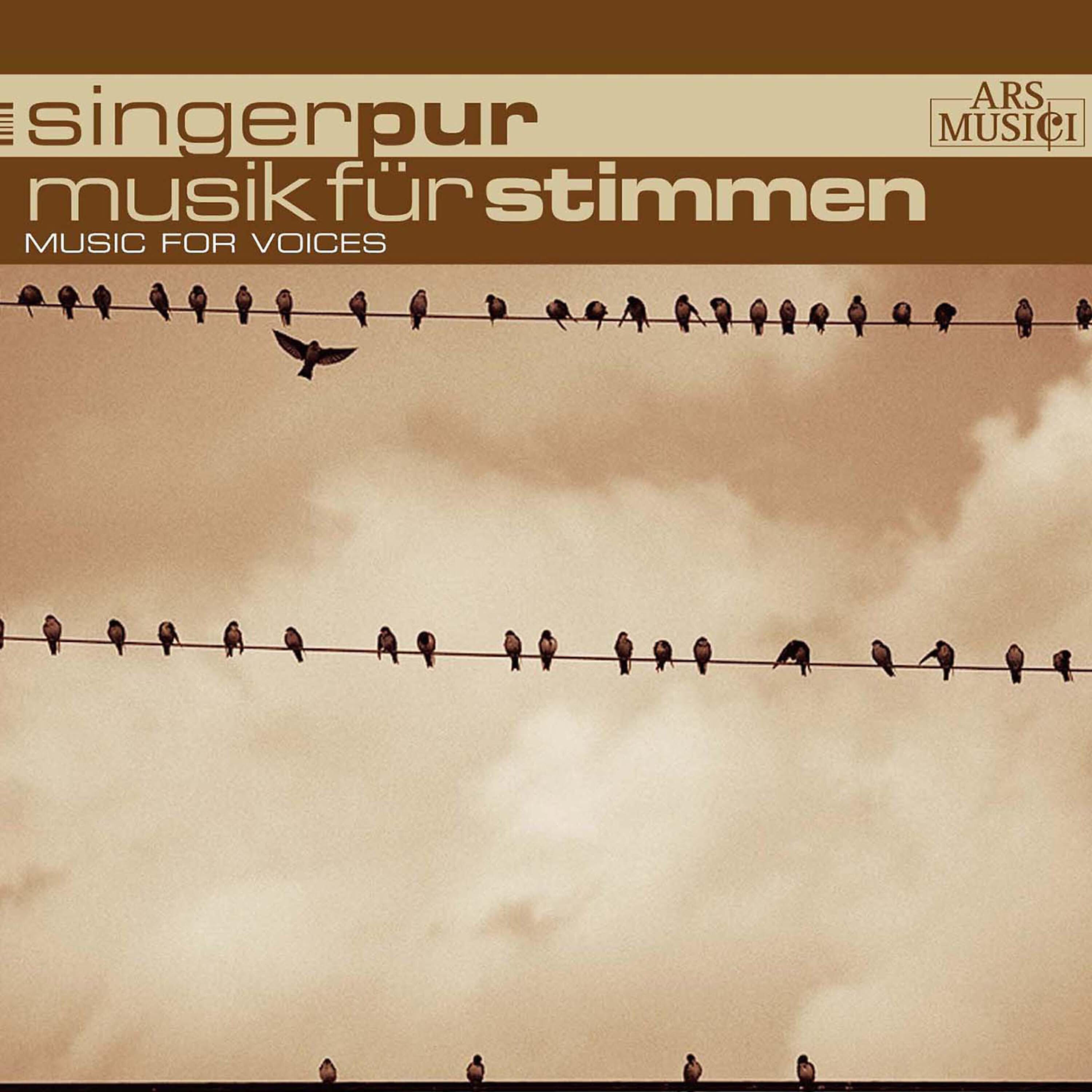 Singer Pur - Wonderful world