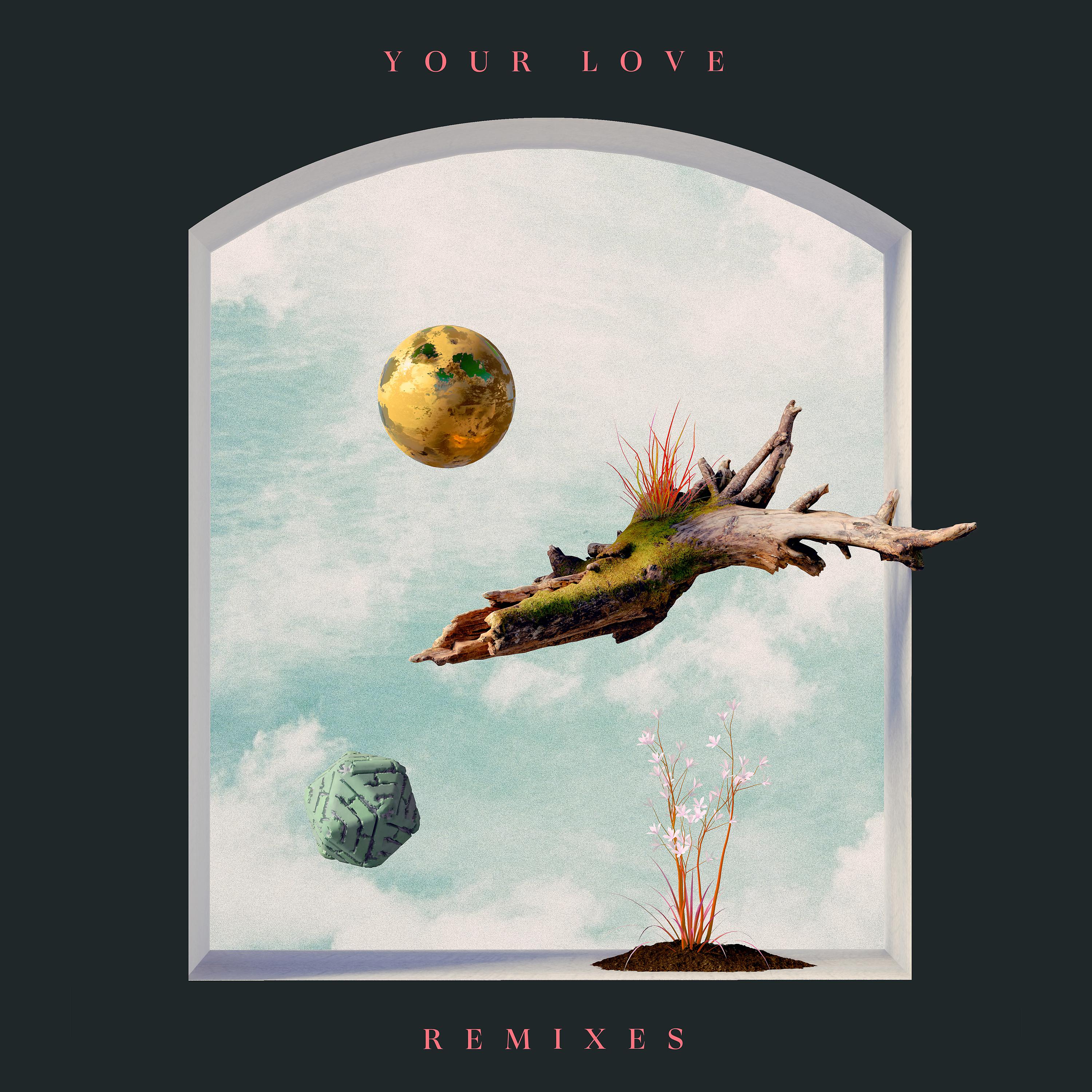 Постер альбома Your Love Remixes
