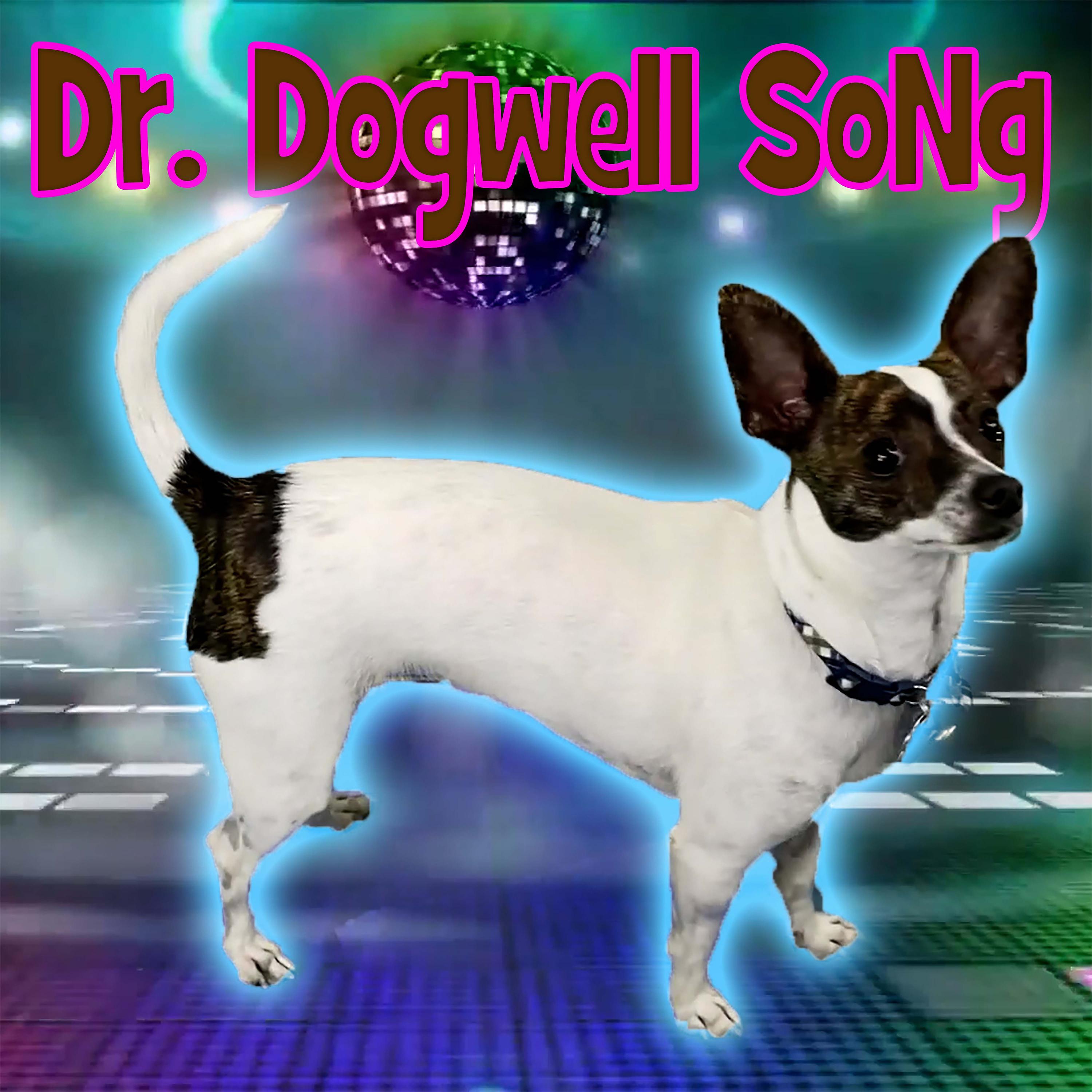 Постер альбома Dr. Dogwell Song