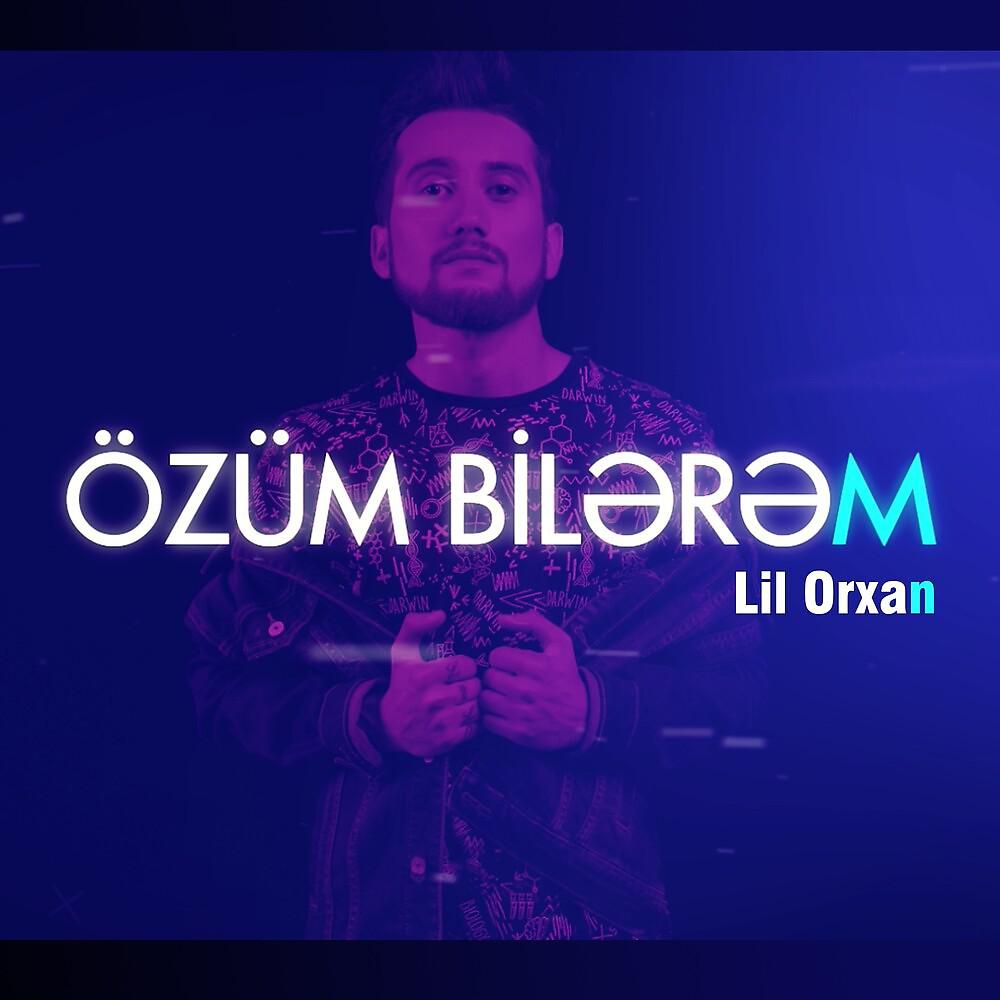 Постер альбома Özüm Bilərəm