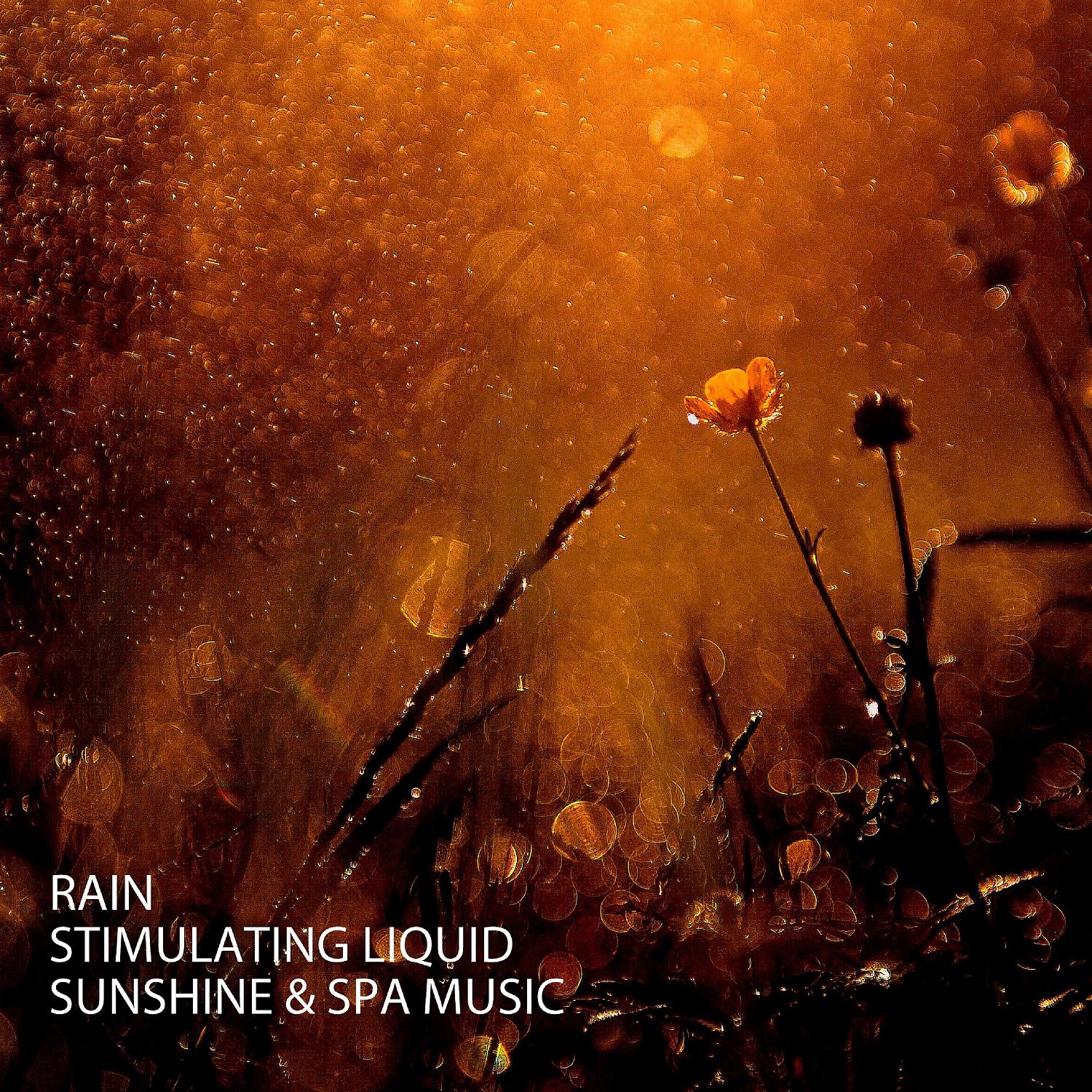 Постер альбома Rain: Stimulating Liquid Sunshine & Spa Music
