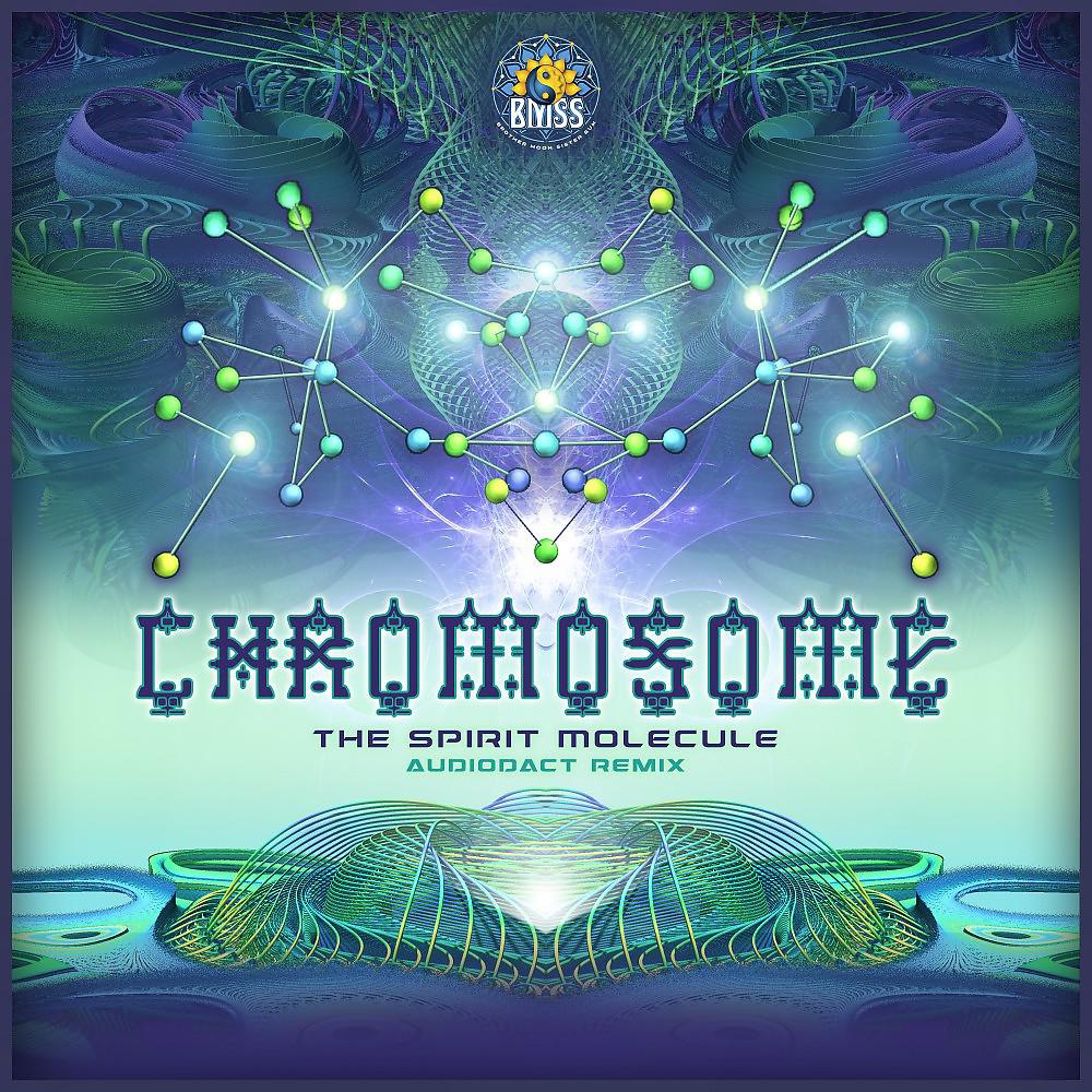 Постер альбома The Spirit Molecule (Audiodact Remix)