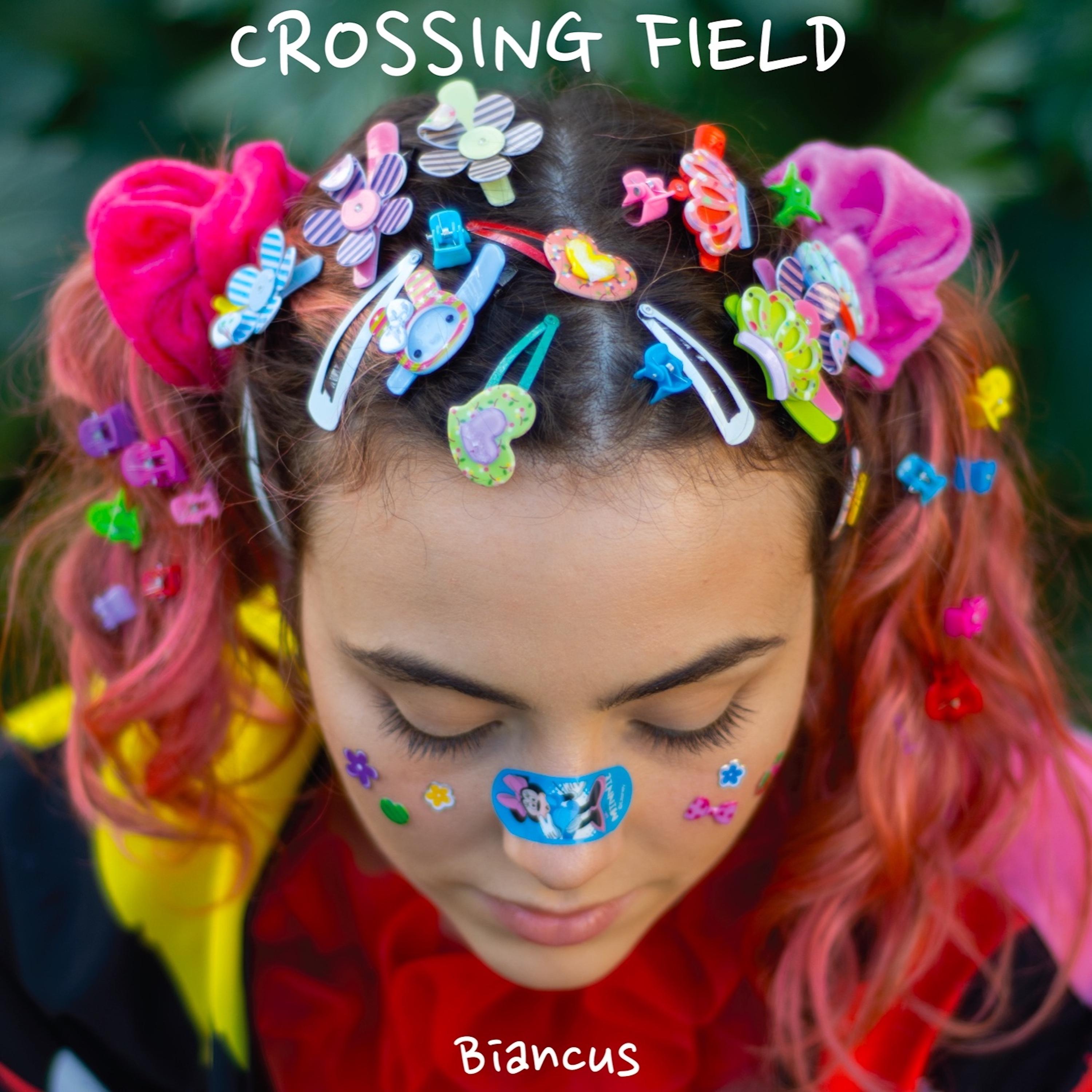 Постер альбома Crossing Field