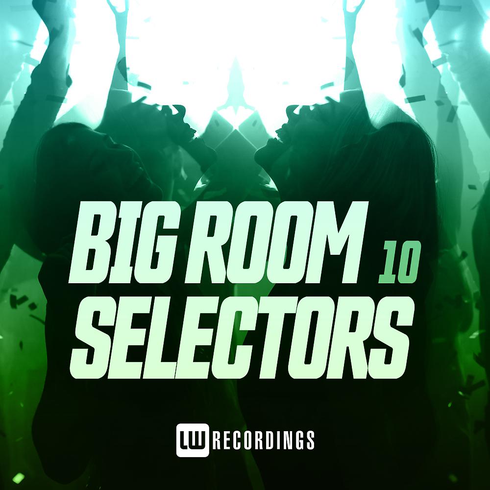 Постер альбома Big Room Selectors, 10