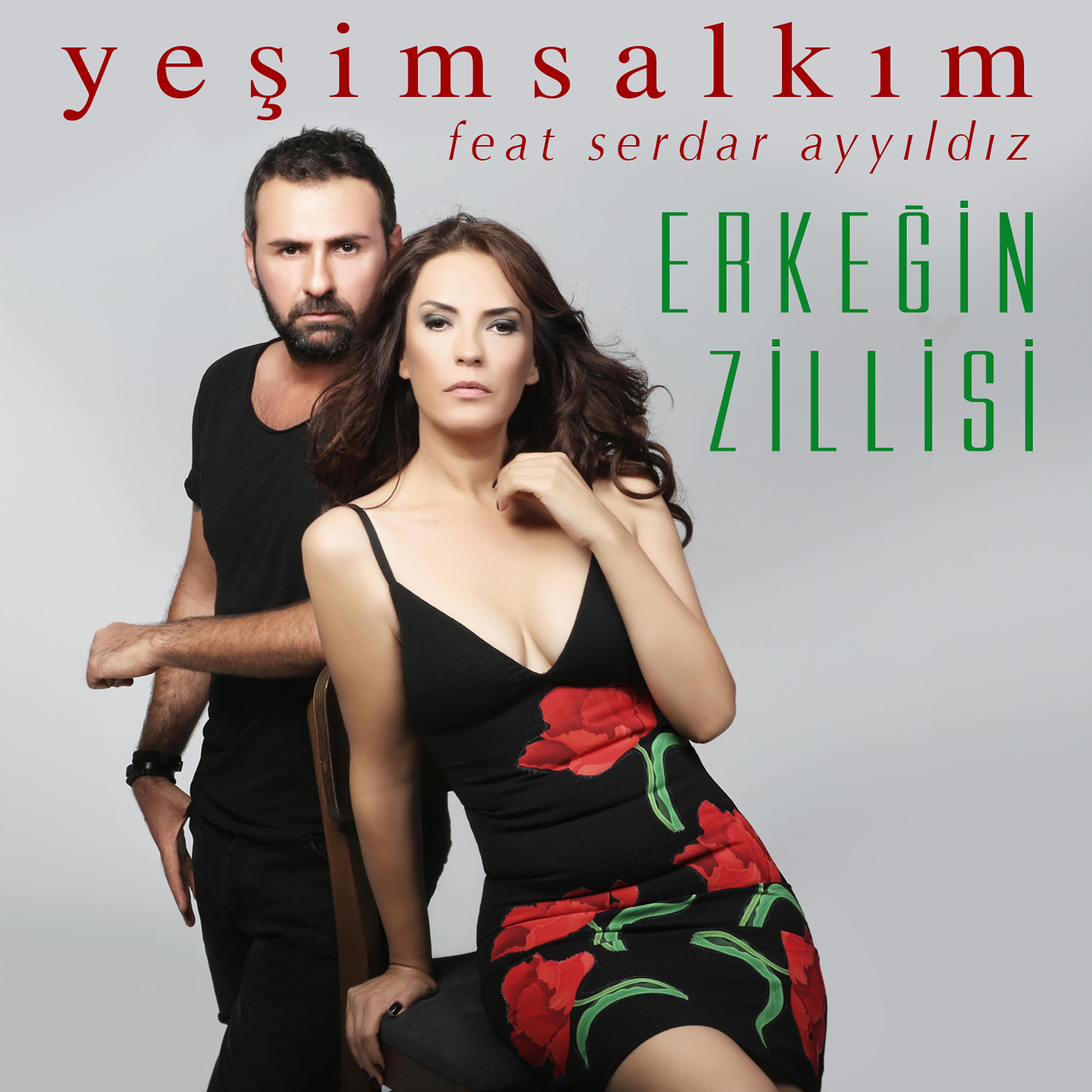 Постер альбома Erkeğin Zillisi